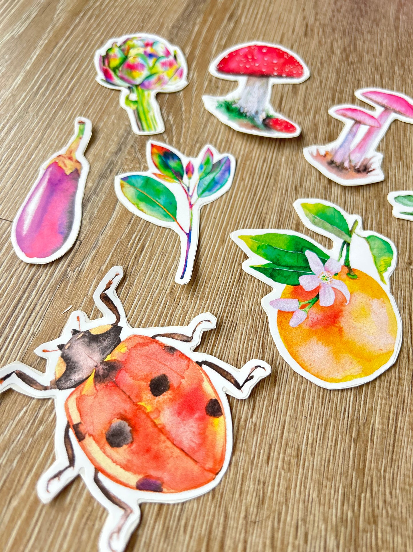 Pack pegatinas Naturaleza