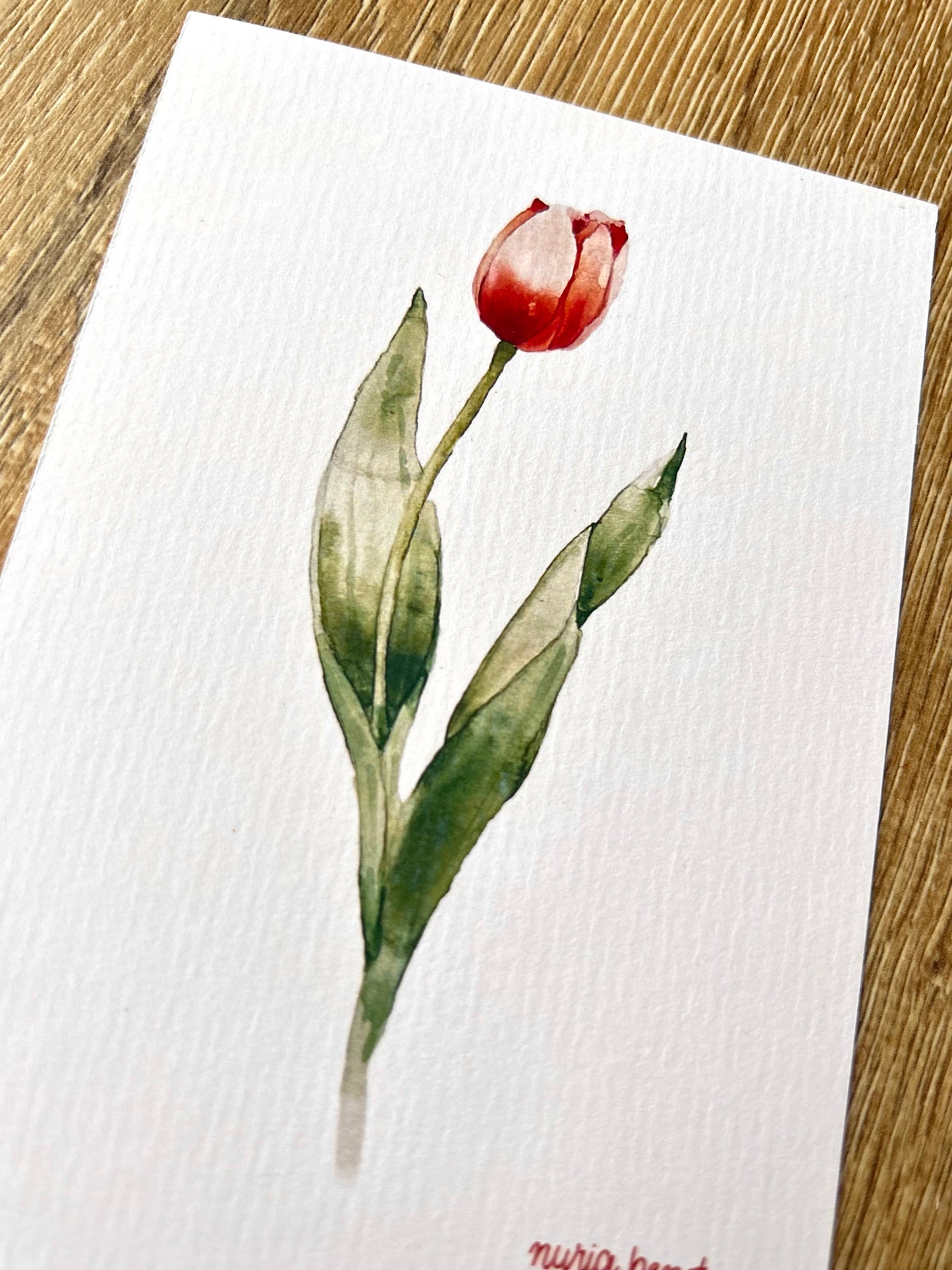 Print Flores Tulipán Acuarela