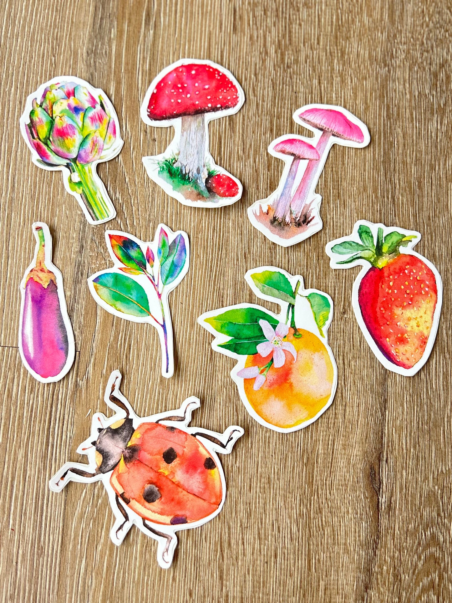 Pack pegatinas Naturaleza