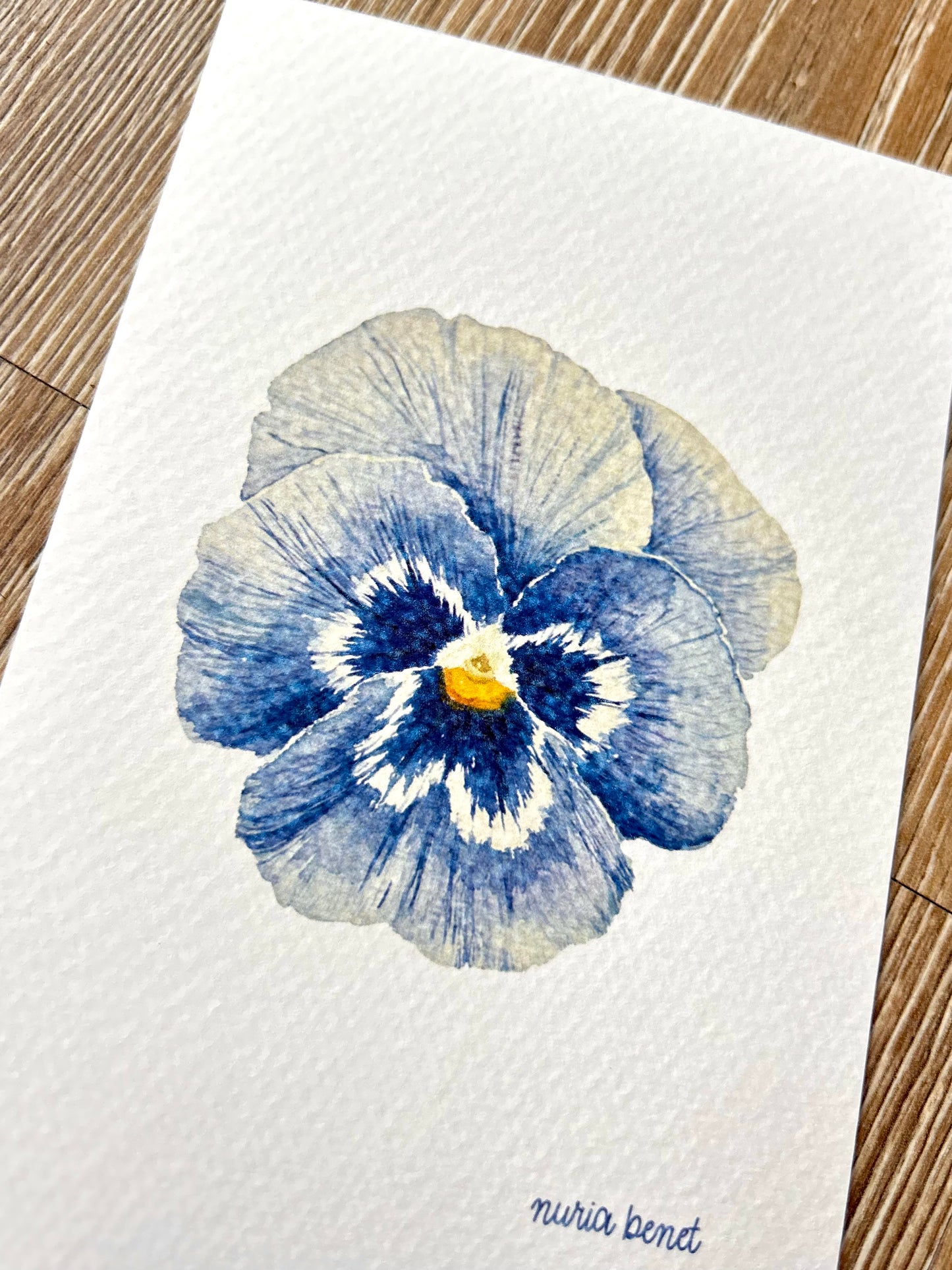 Print Flores Pensamiento Azul Acuarela