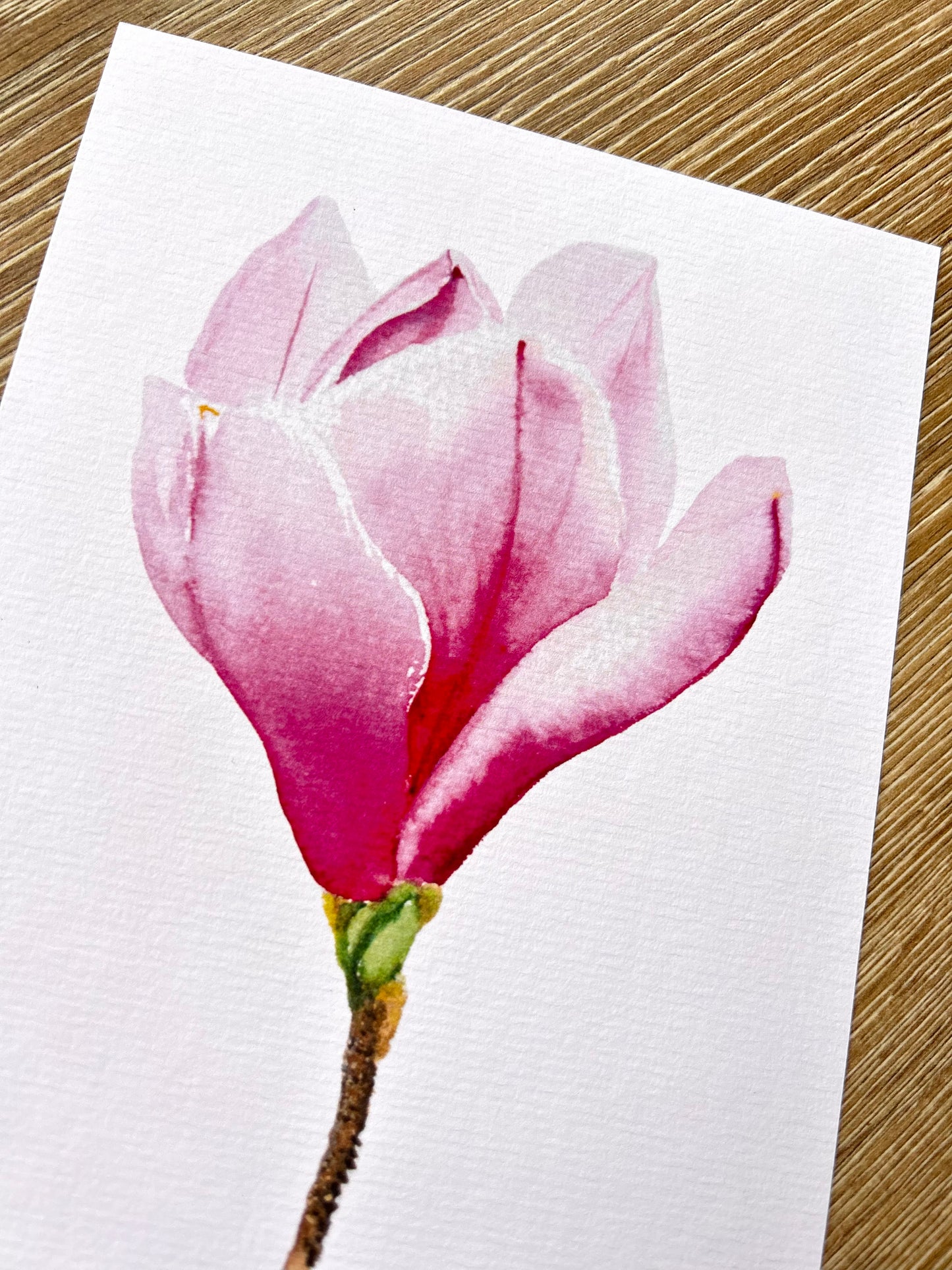 Print Flores Magnolia Acuarela