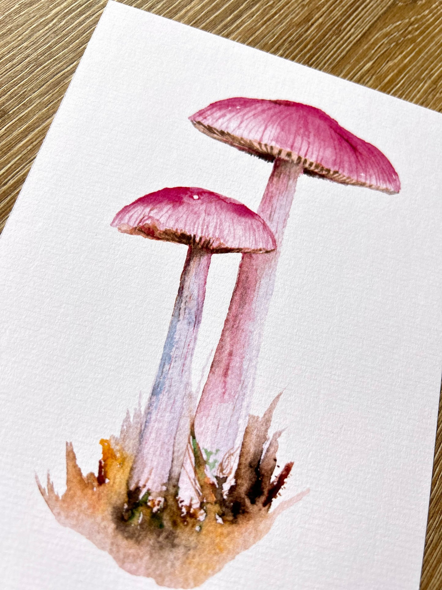 Print Seta Rosa Acuarela