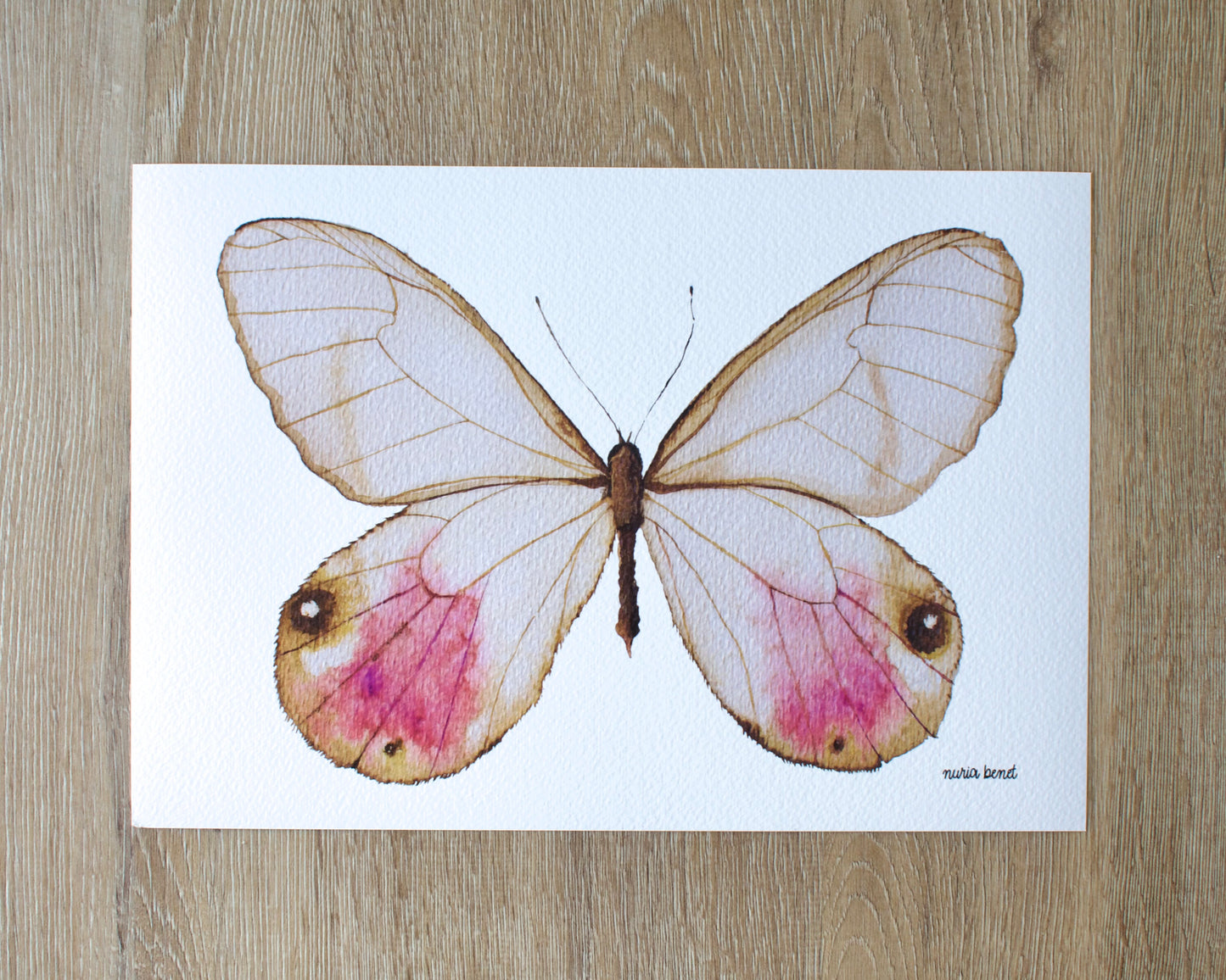 Print Mariposa Andromeda Satyr Acuarela
