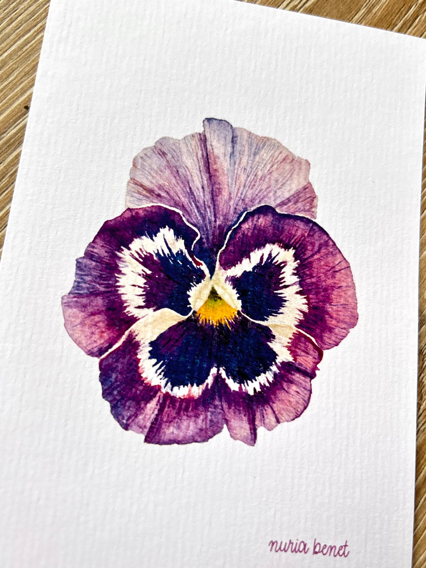 Print Flores Pensamiento Morado Acuarela