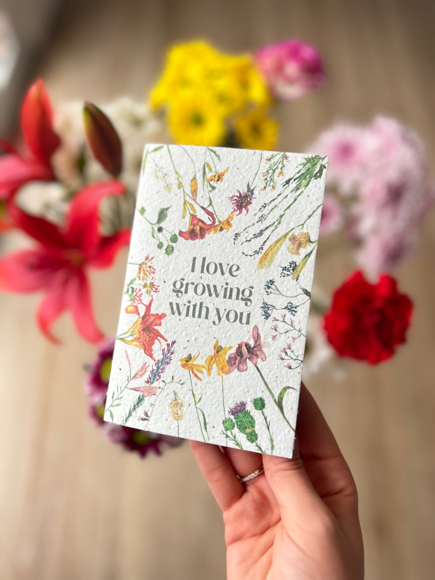 Postal Papel Plantable