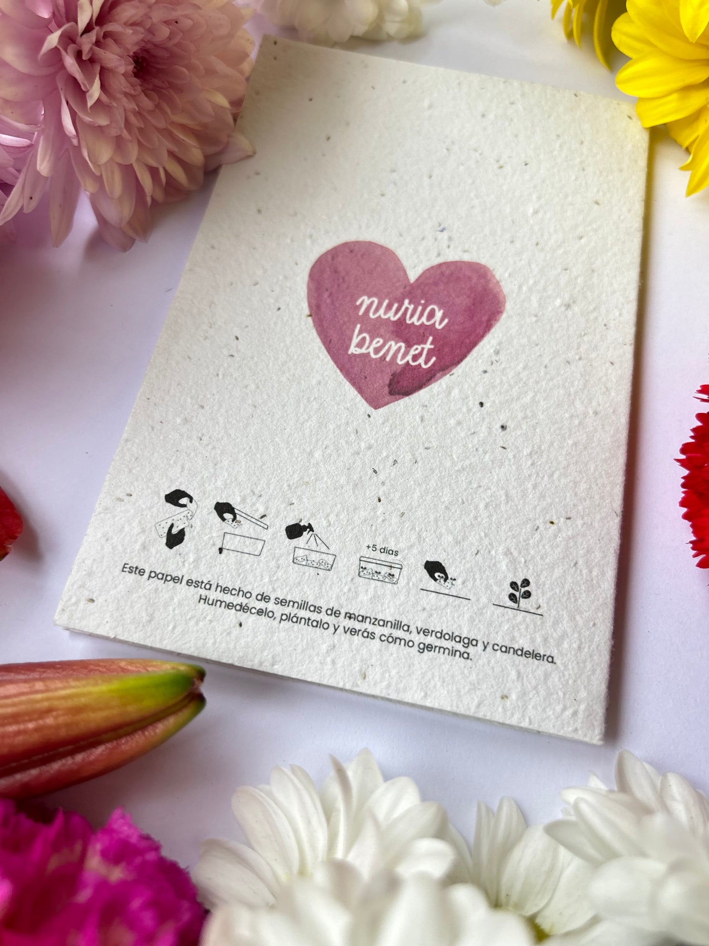 Postal Papel Plantable