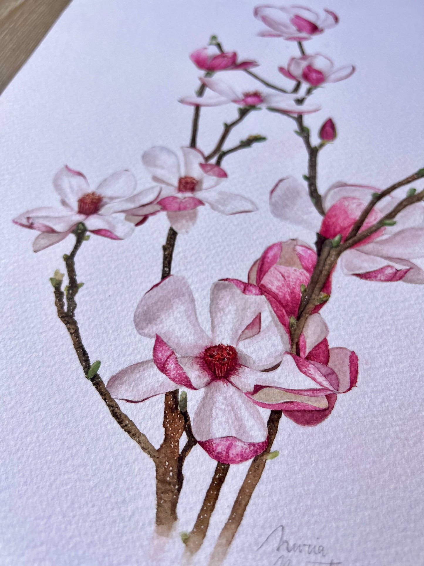 Print Flores Magnolias Acuarela
