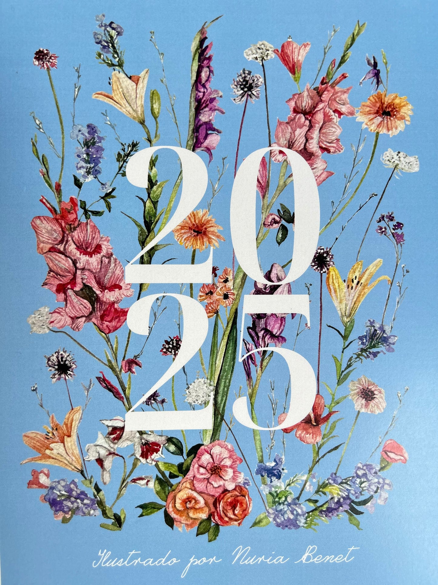 Calendario Ilustrado 2025
