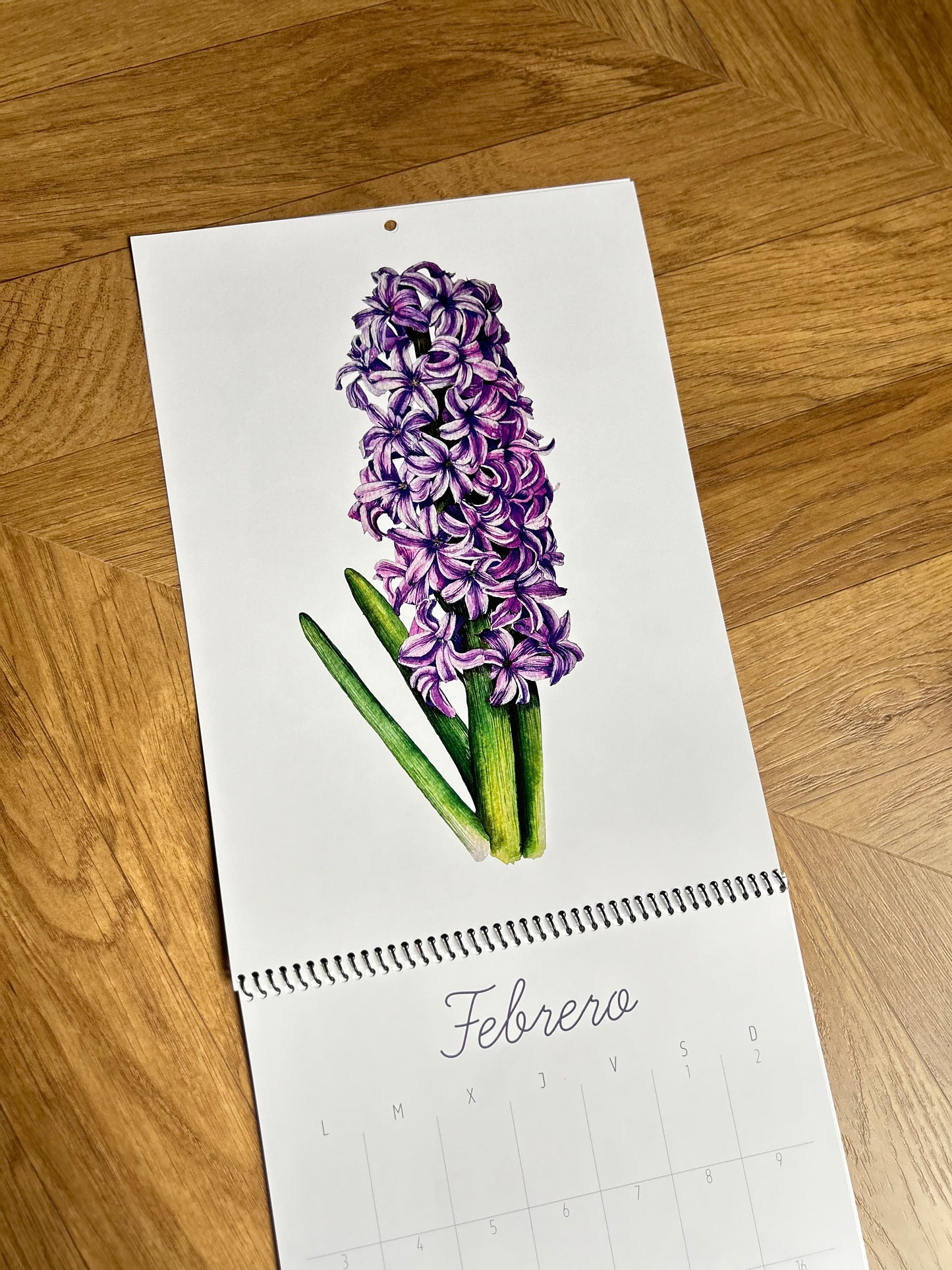 Calendario Ilustrado 2025