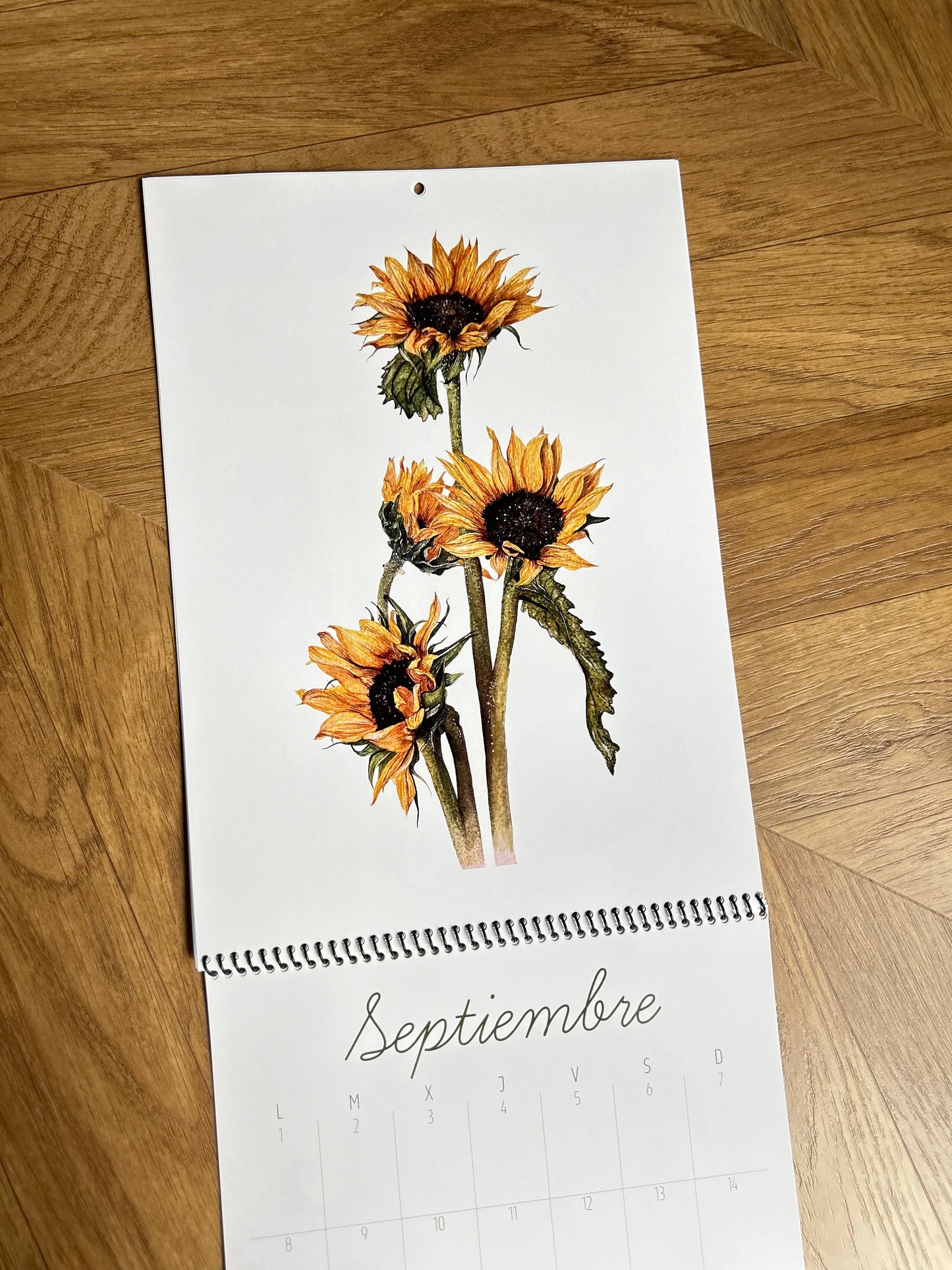 Calendario Ilustrado 2025