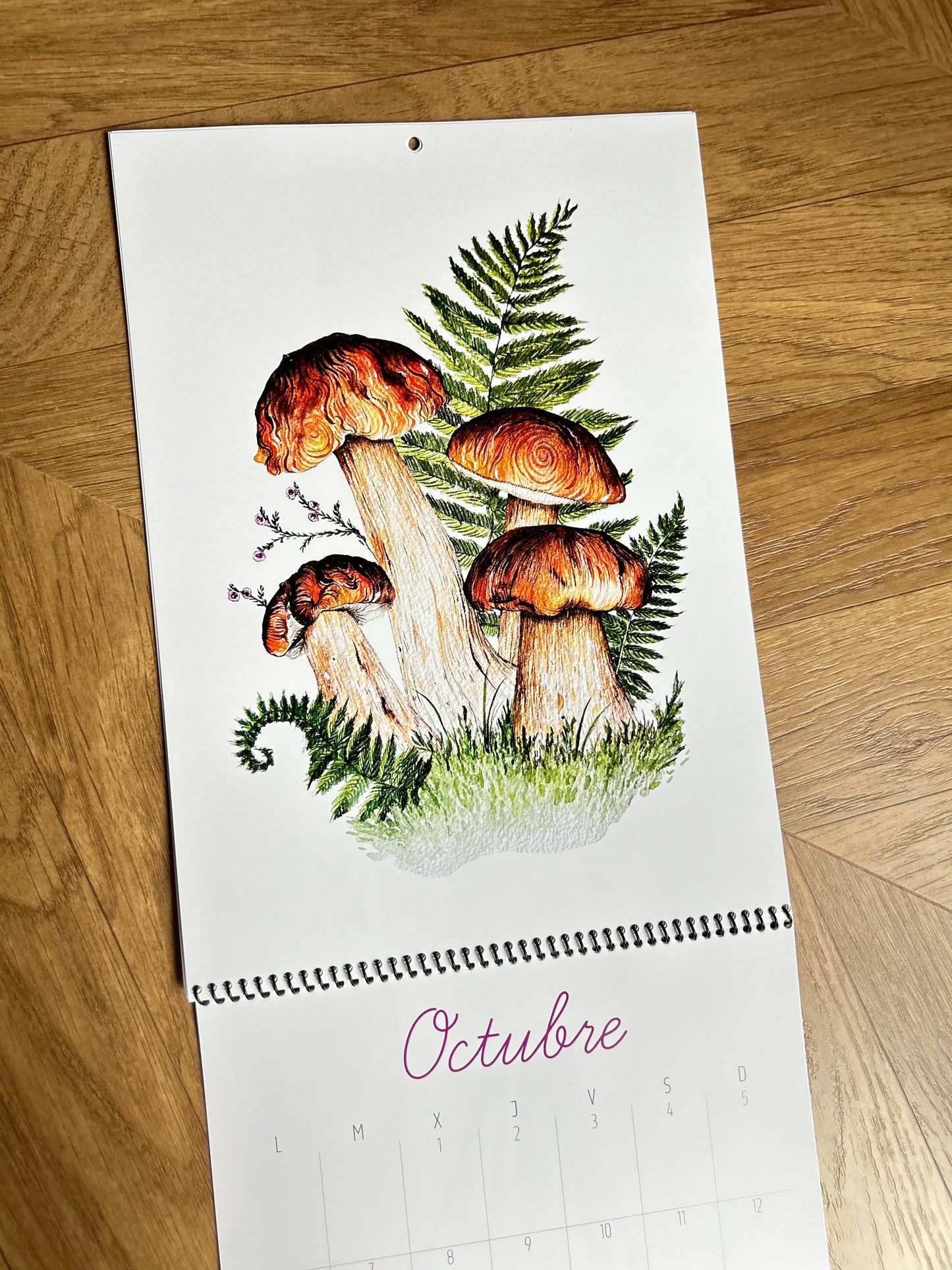 Calendario Ilustrado 2025