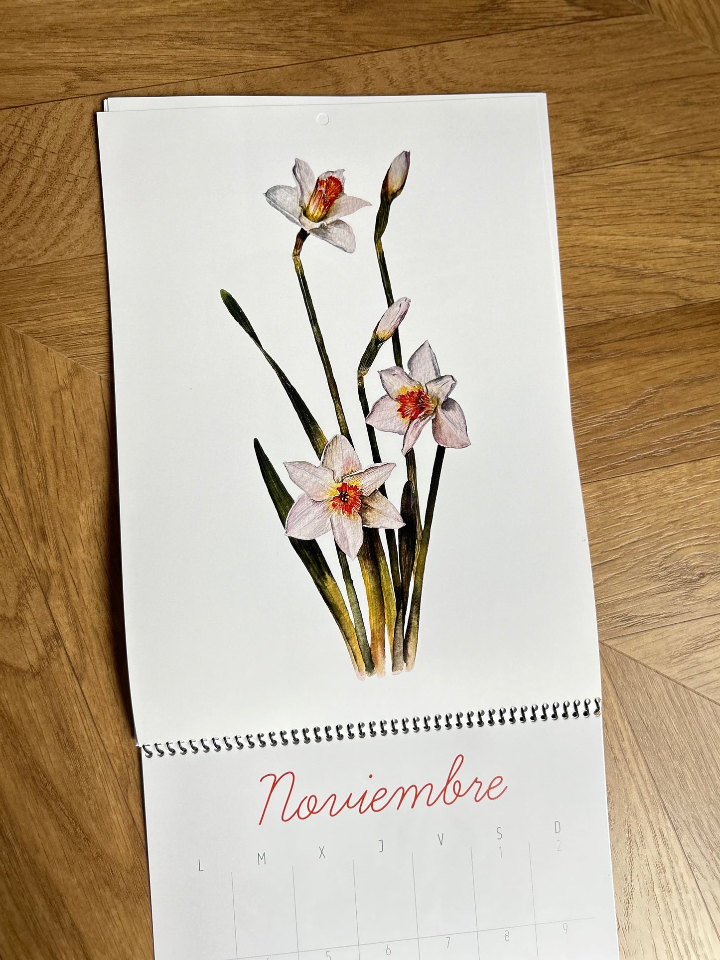 Calendario Ilustrado 2025