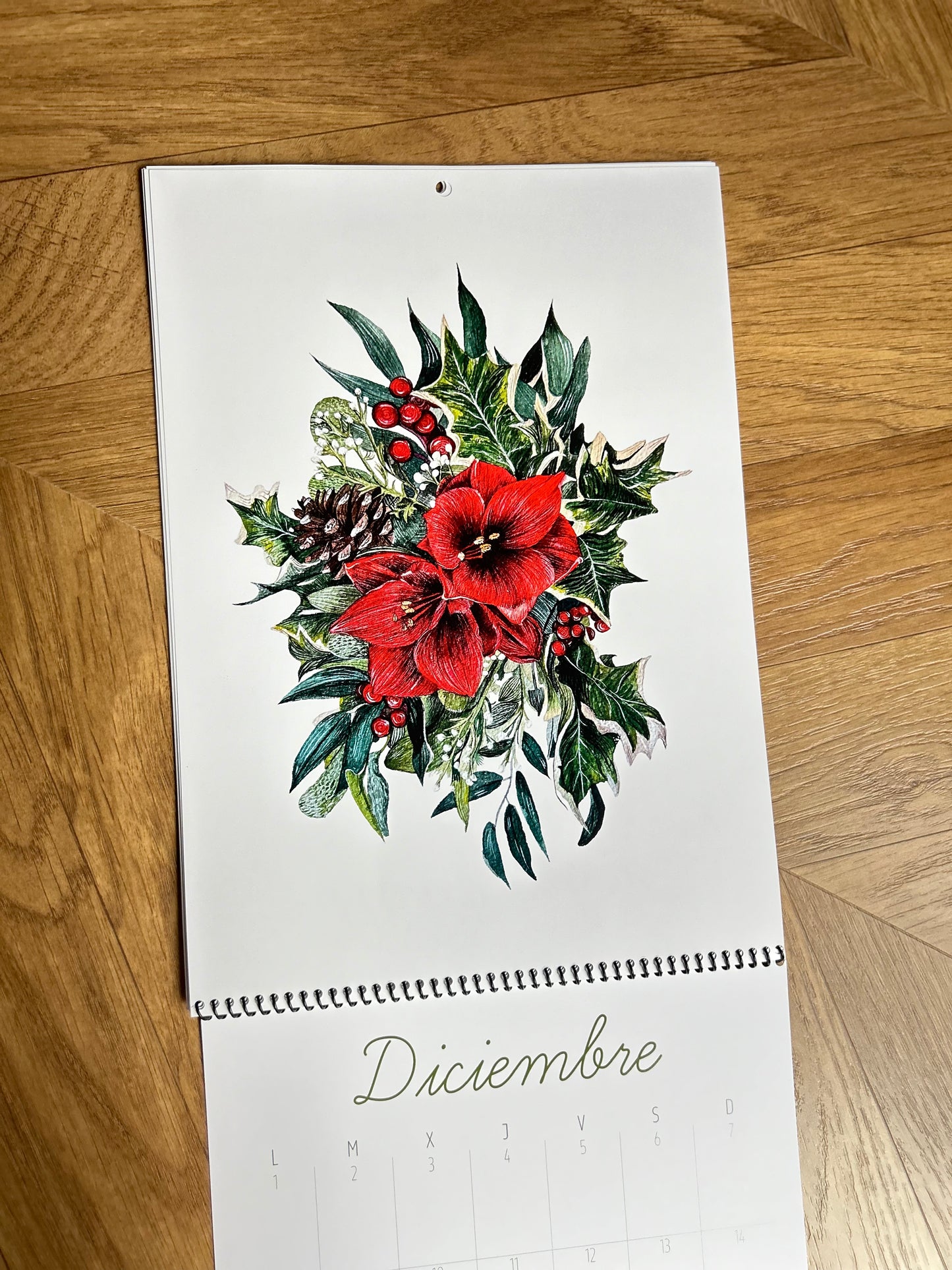 Calendario Ilustrado 2025