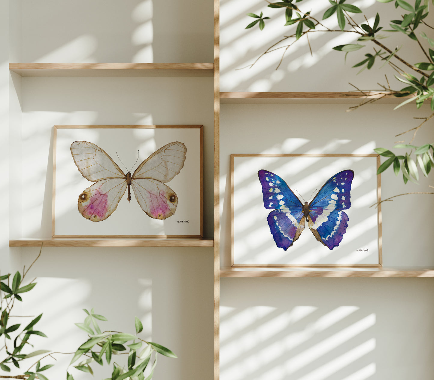 Print Mariposa Andromeda Satyr Acuarela