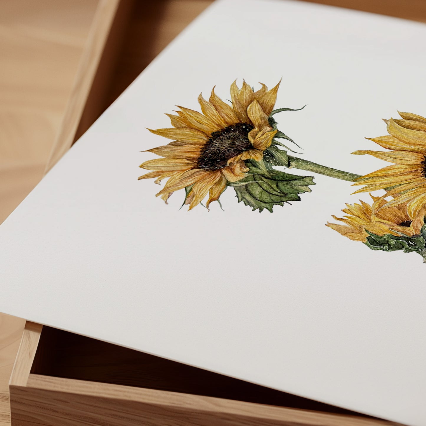 Print Flores Girasoles Acuarela