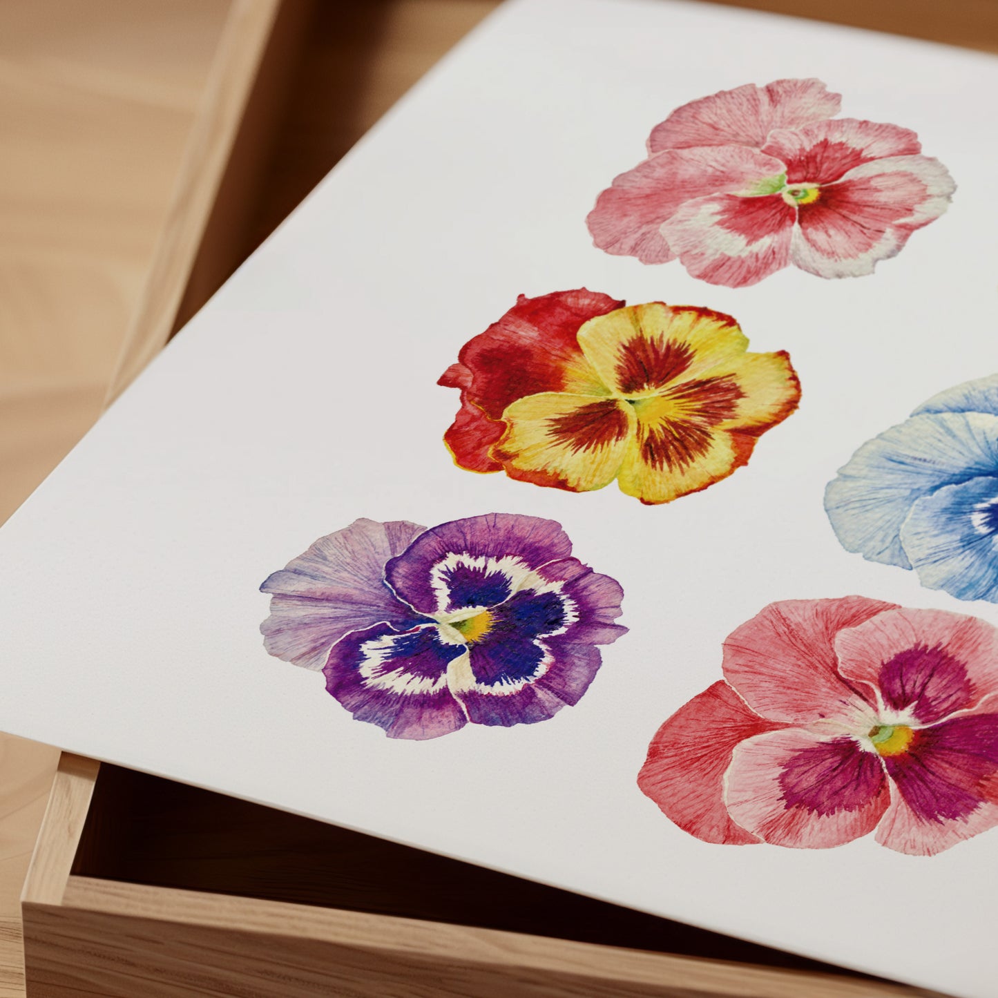 Print Composición Flores del Pensamiento Acuarela