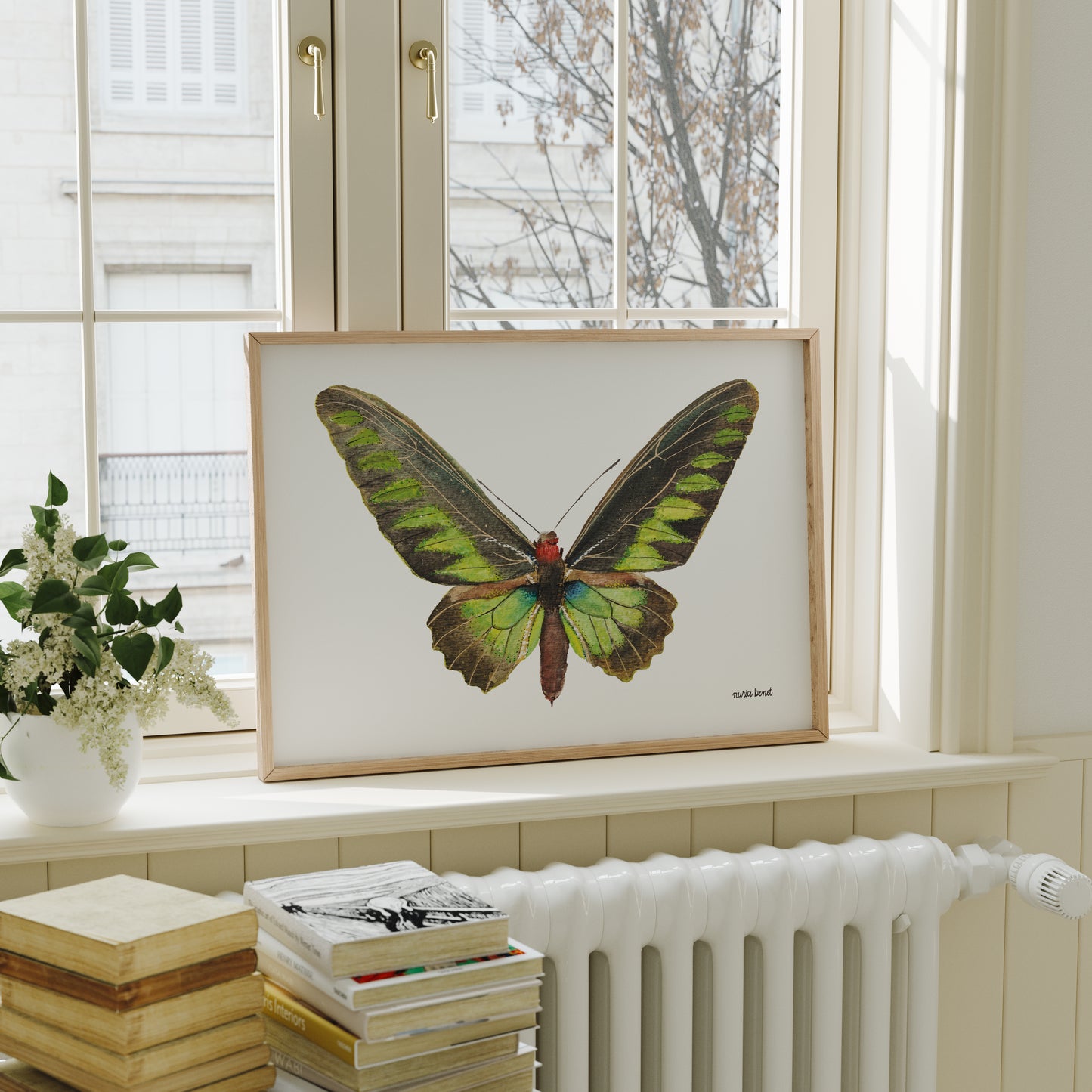 Print Mariposa Rajah Brooke Acuarela
