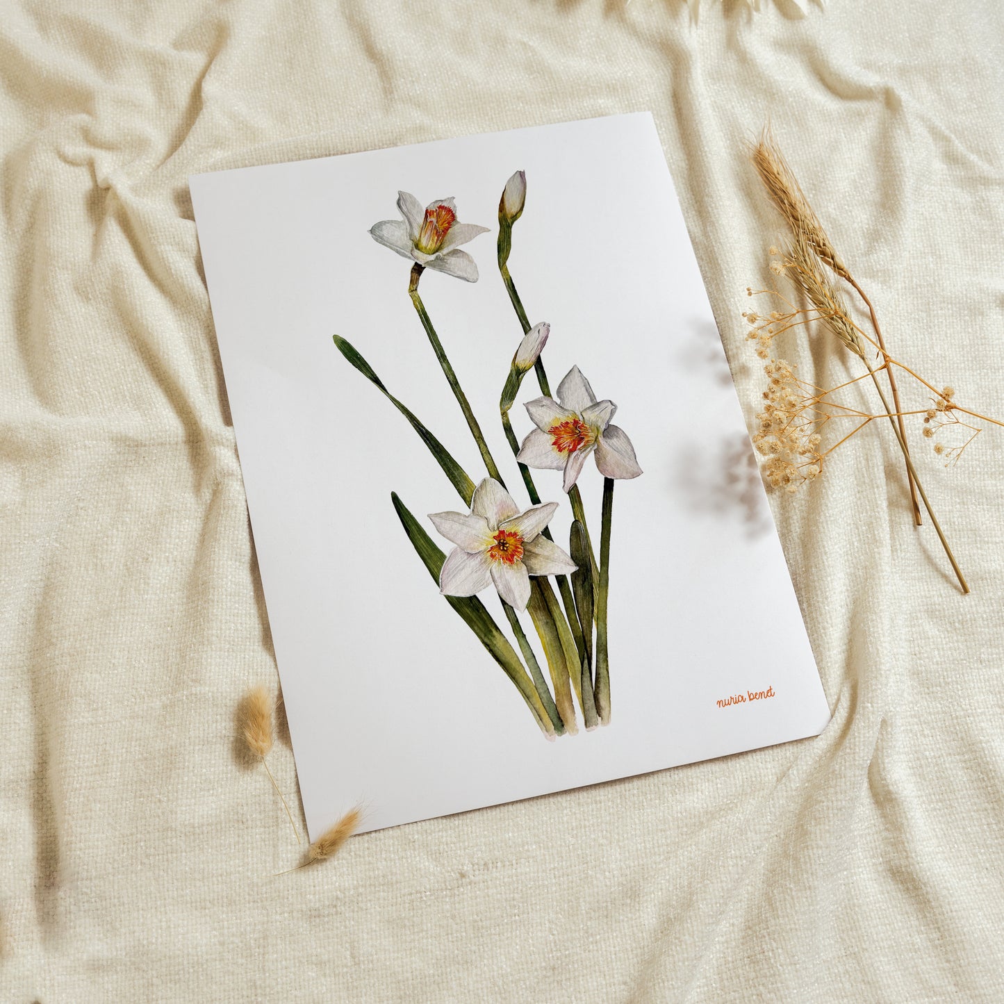 Print Flores Narcisos Acuarela