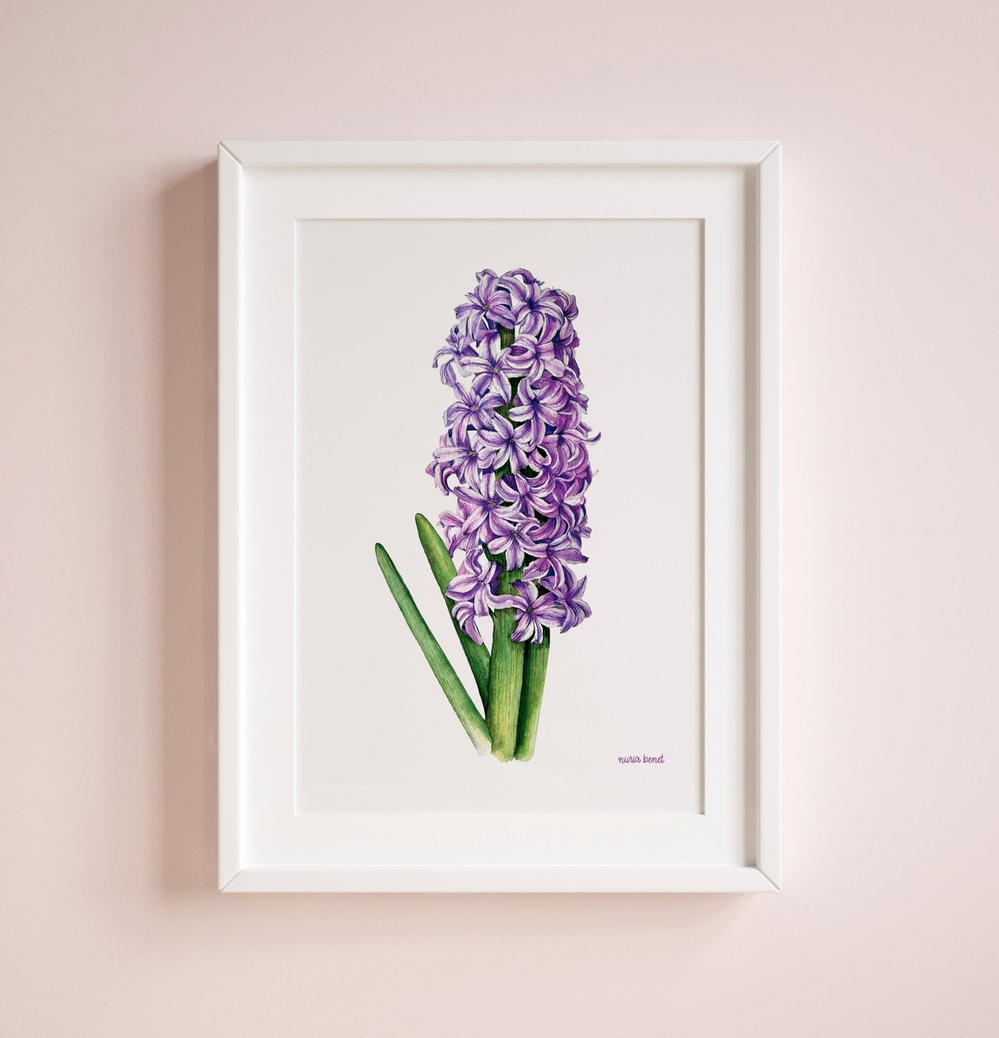 Print Flores Jacinto Acuarela - Nuria Benet