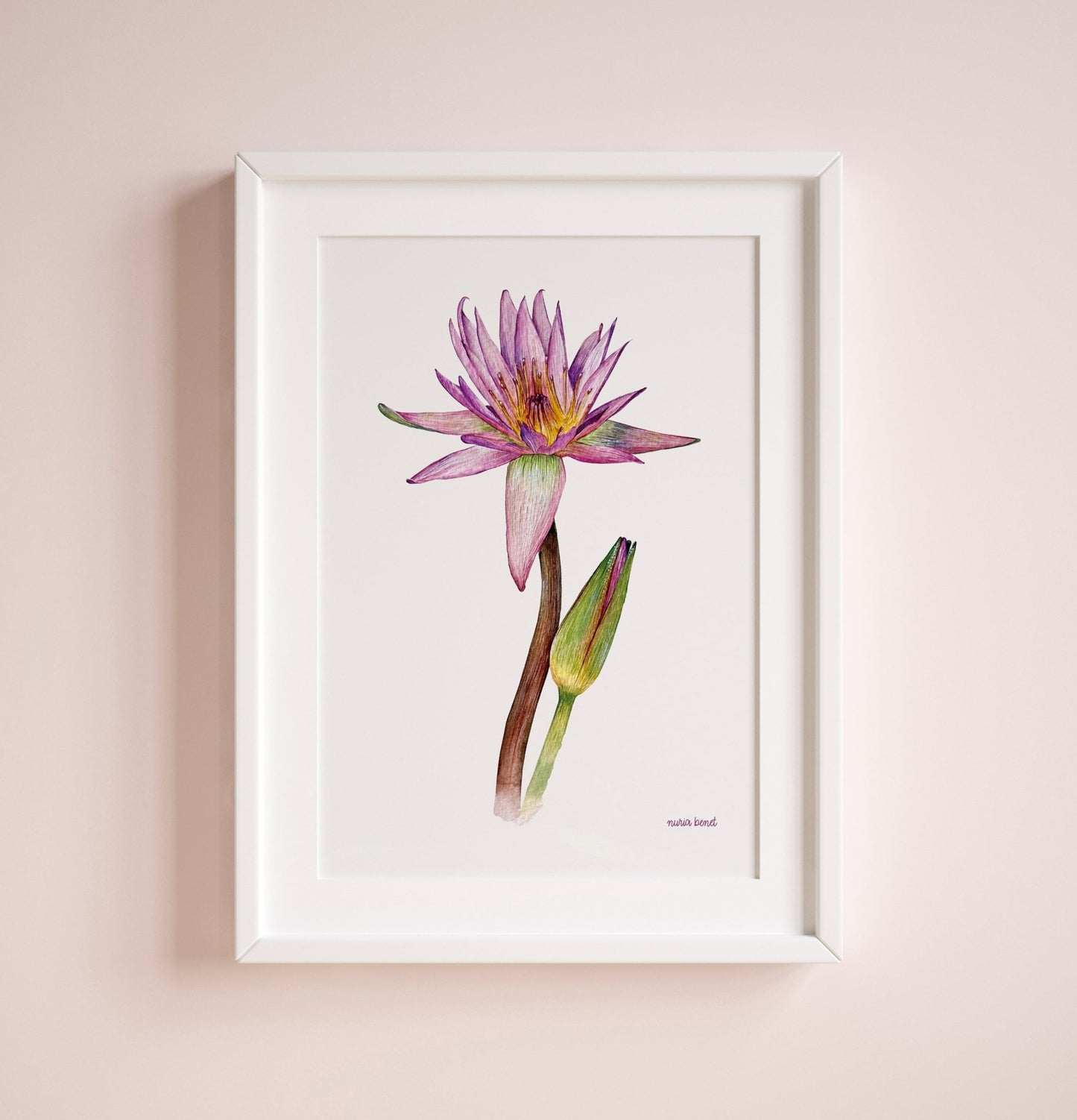 Print Flores Nenúfar Acuarela - Nuria Benet