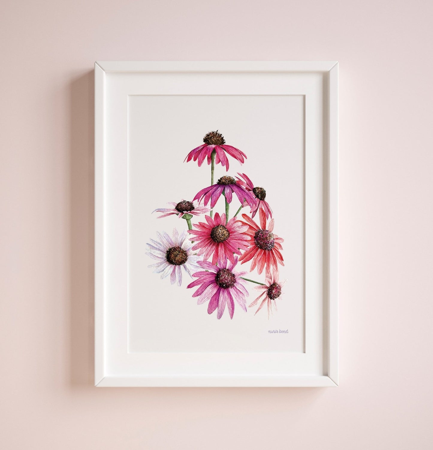 Print Flores Equinácea Acuarela - Nuria Benet