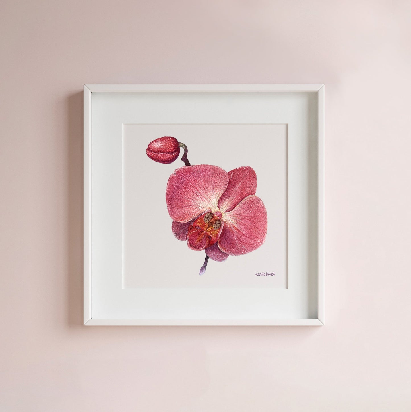 Print Flores Orquídea Acuarela - Nuria Benet