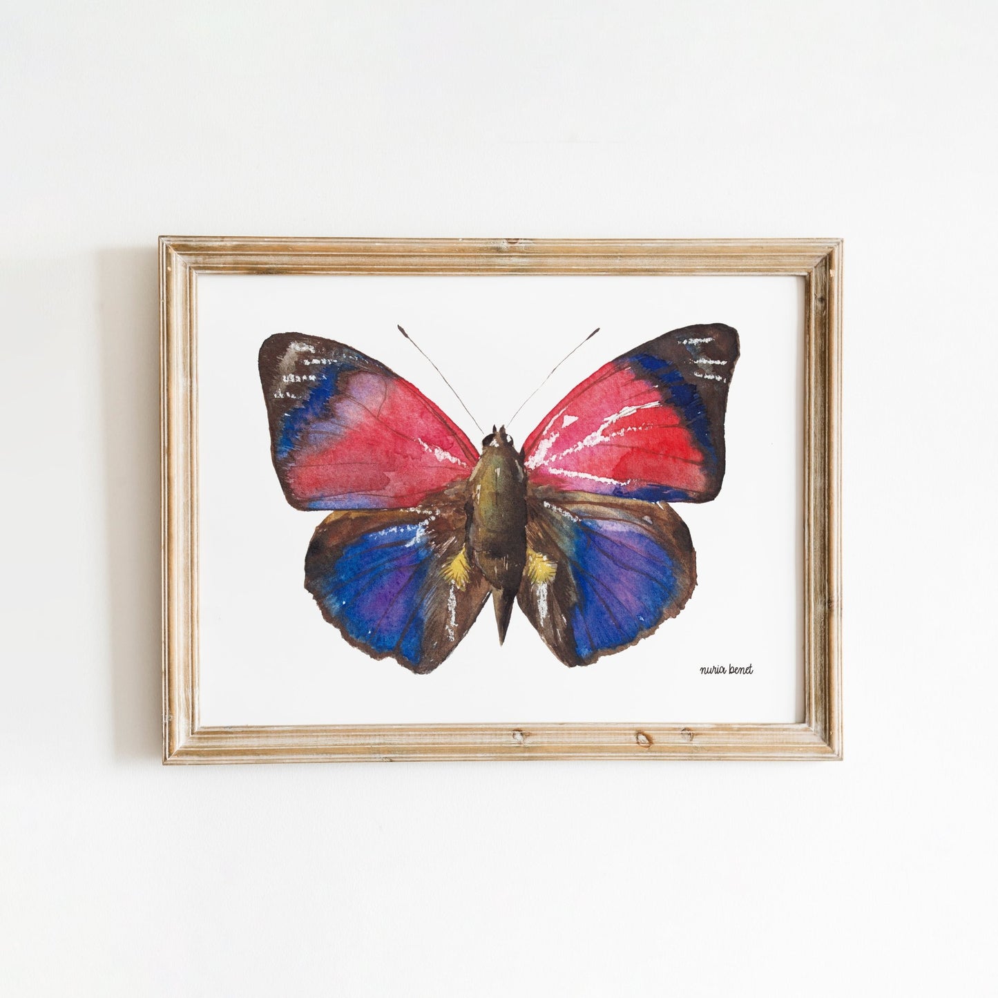 Print Mariposa Agrias Claudina Acuarela - Nuria Benet