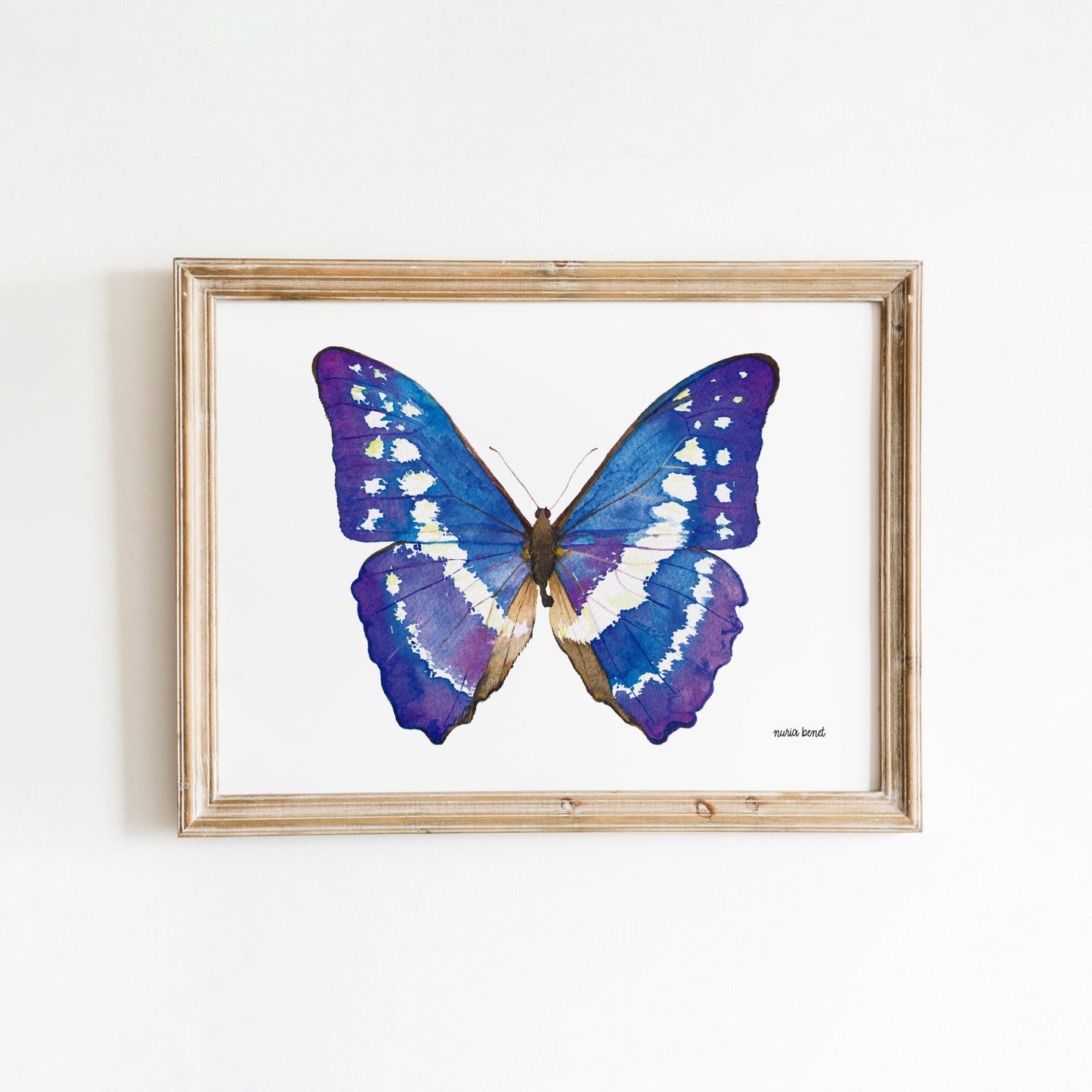 Print Mariposa Morpho Azul Acuarela - Nuria Benet