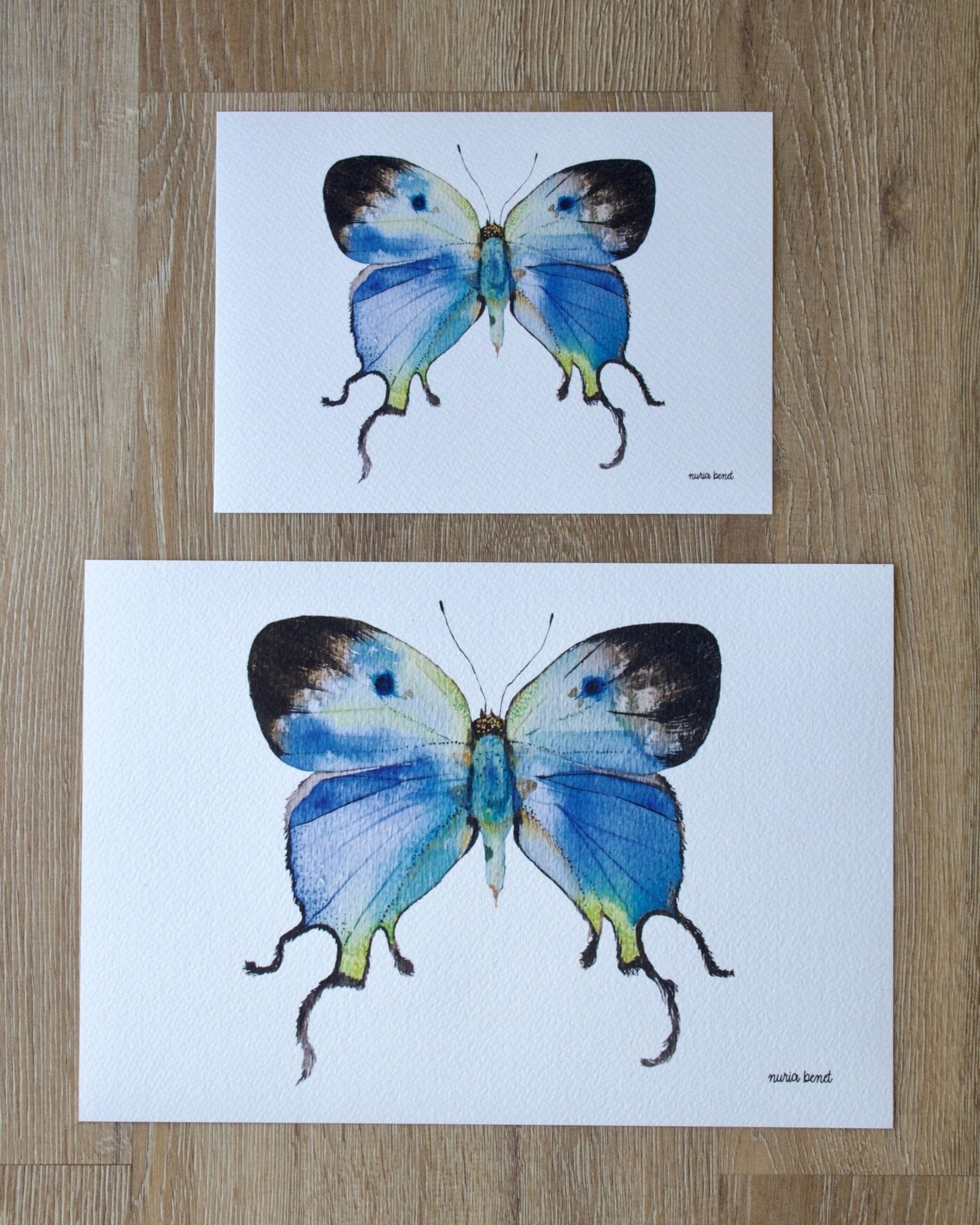 Print Mariposa Sedosa Imperial Acuarela - Nuria Benet
