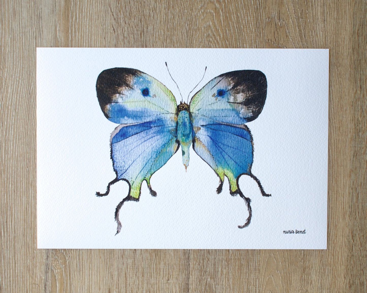Print Mariposa Sedosa Imperial Acuarela - Nuria Benet