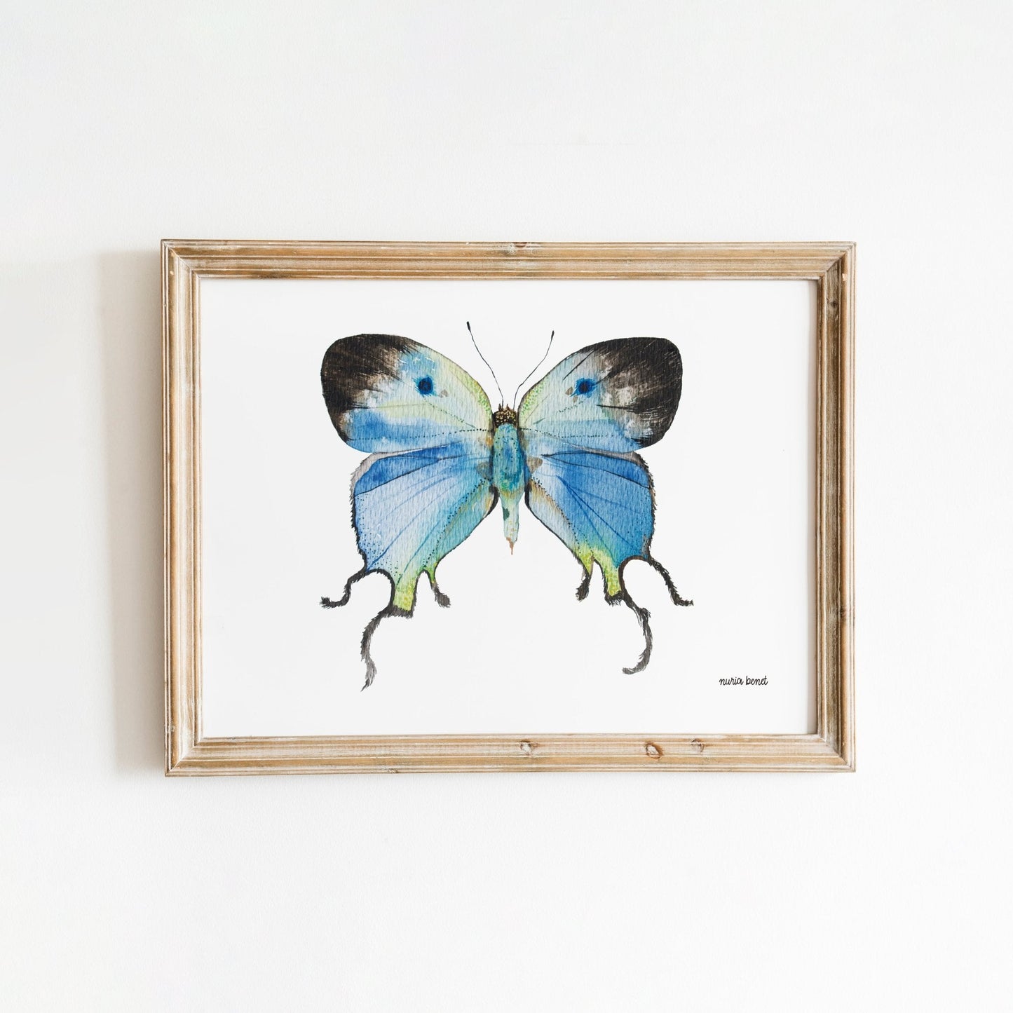 Print Mariposa Sedosa Imperial Acuarela - Nuria Benet