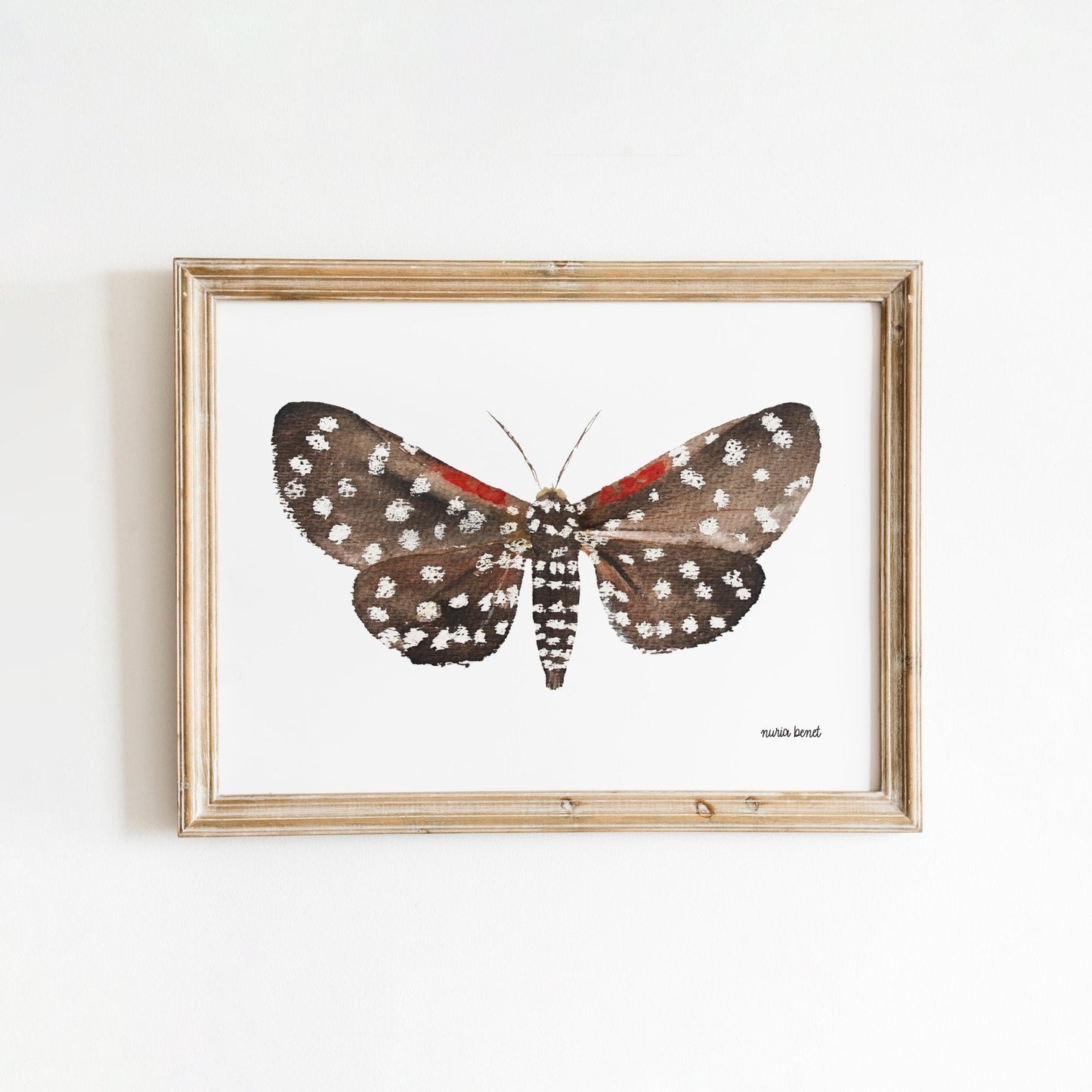Print Polilla Tigre Acuarela - Nuria Benet