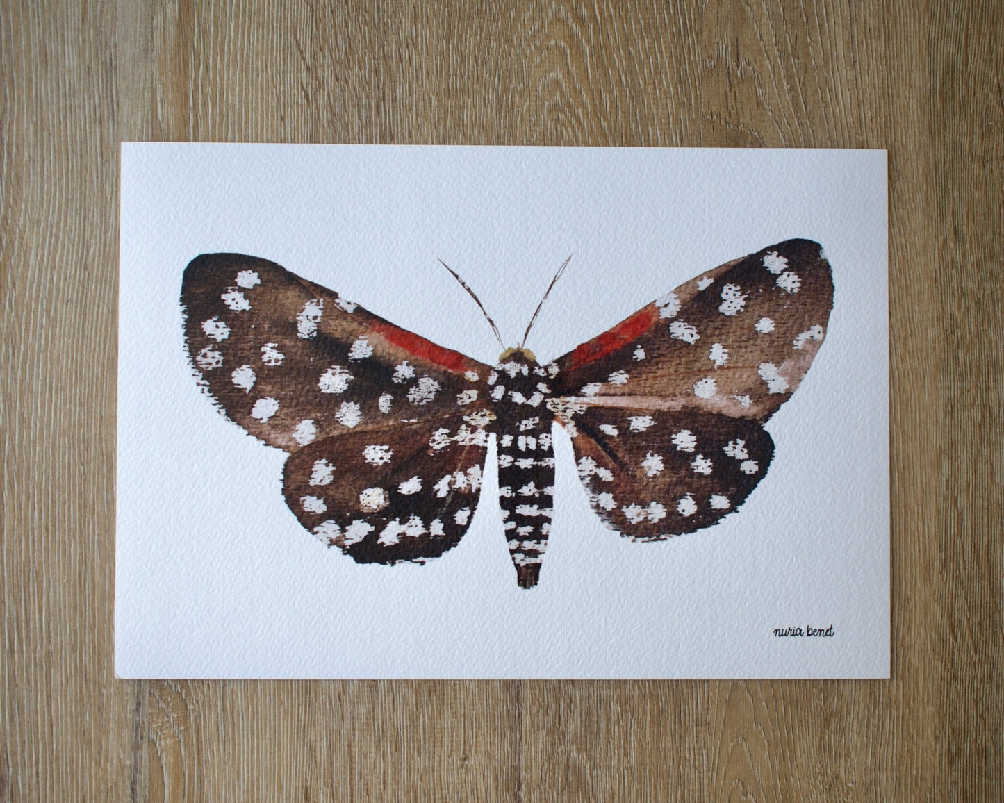 Print Polilla Tigre Acuarela - Nuria Benet