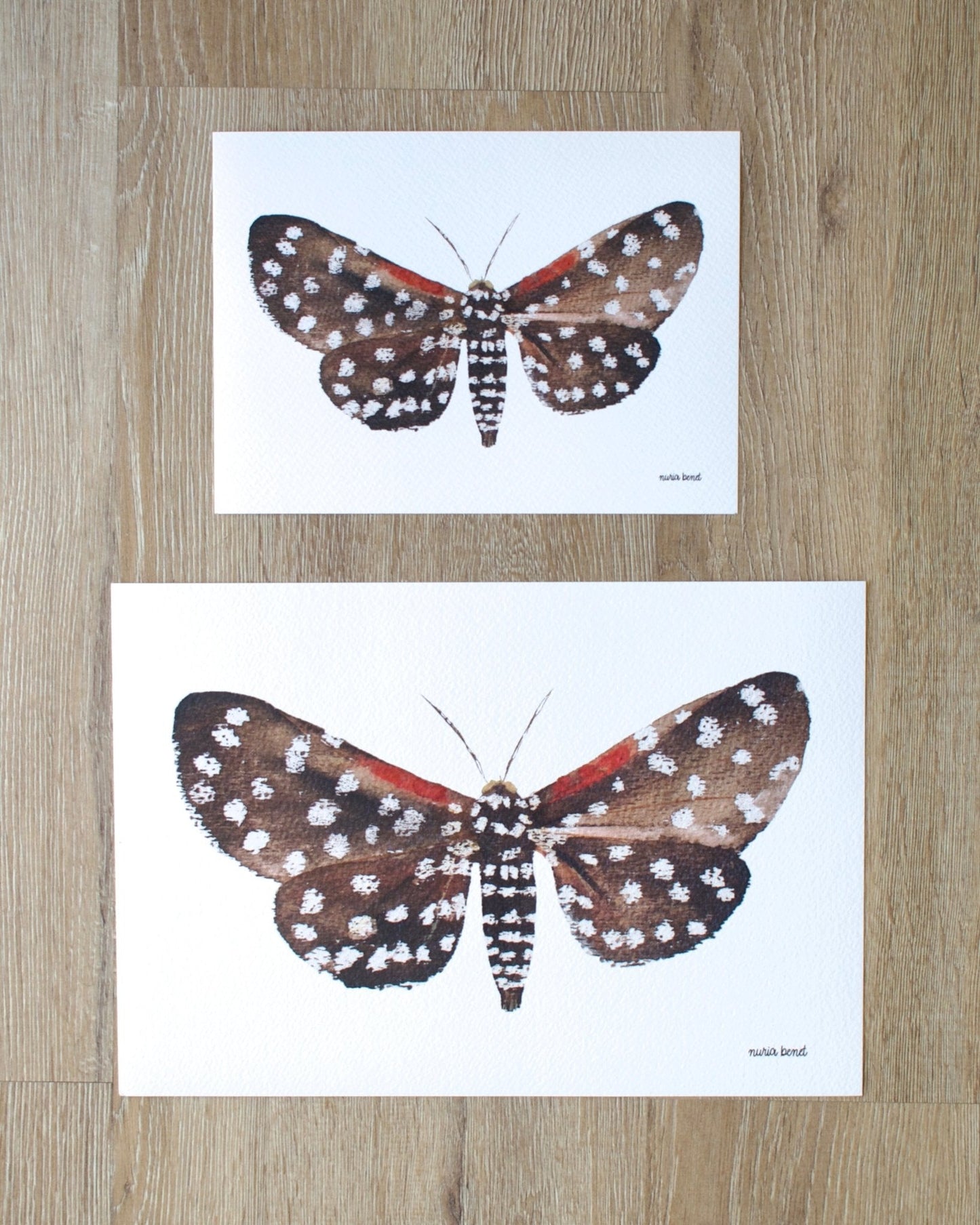 Print Polilla Tigre Acuarela - Nuria Benet