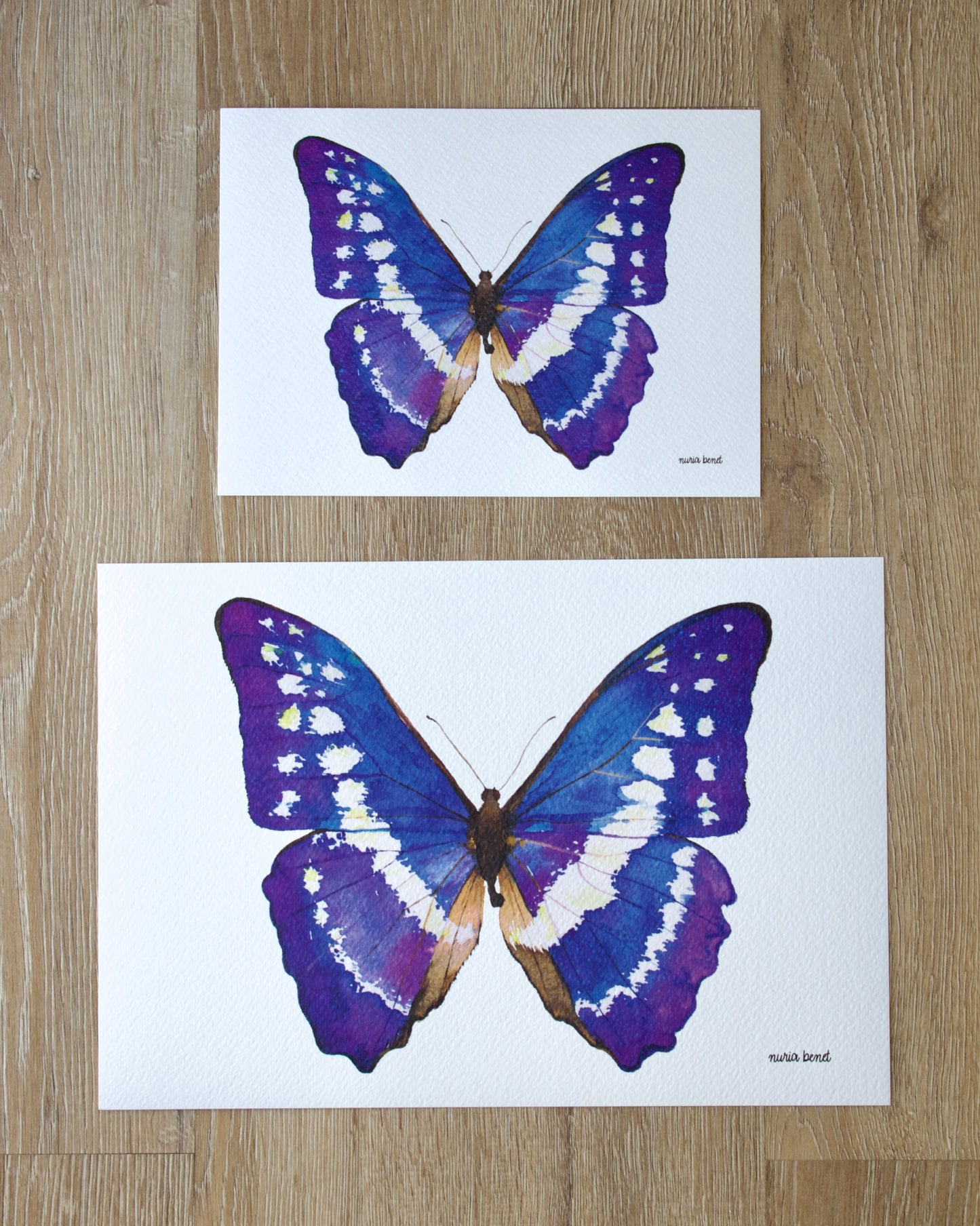 Print Mariposa Morpho Azul Acuarela