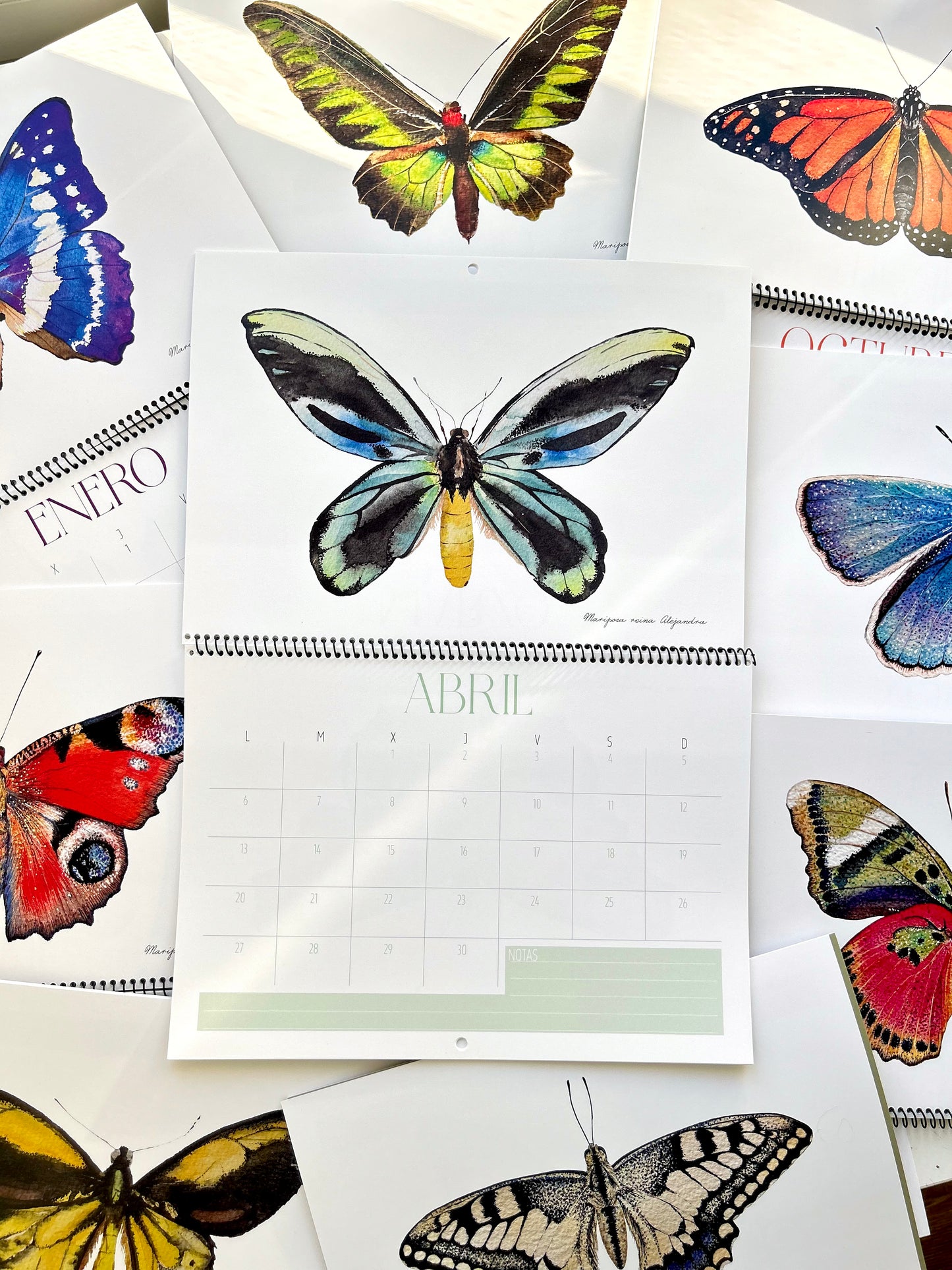 Calendario Mariposas 2026