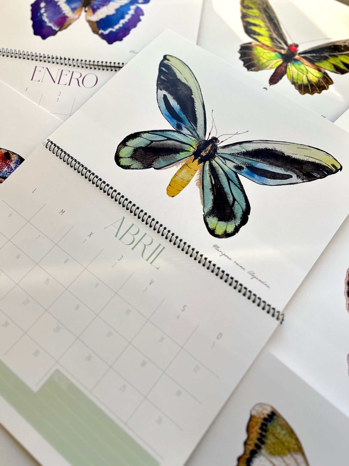 Calendario Mariposas 2026