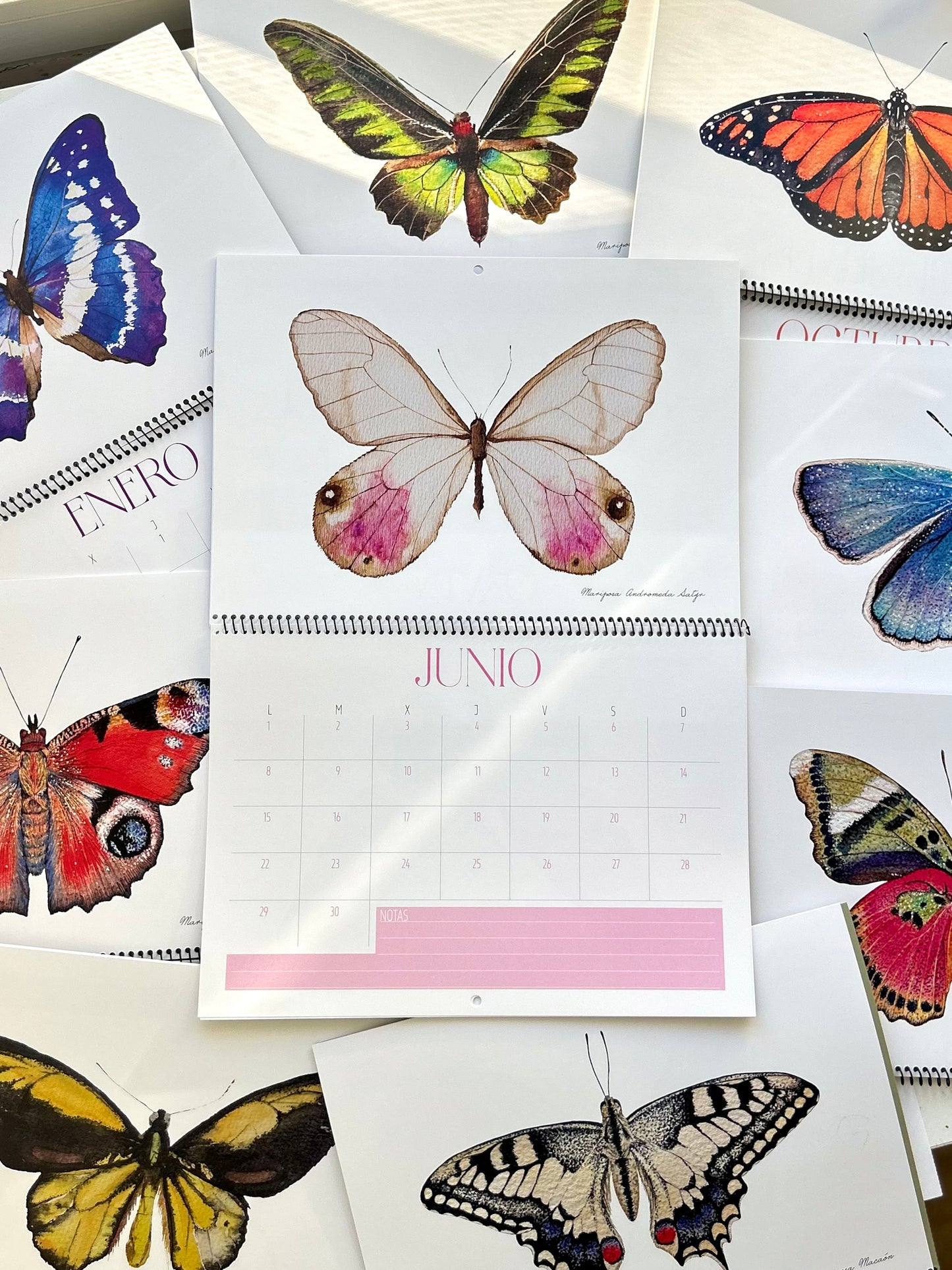 Calendario Mariposas 2026