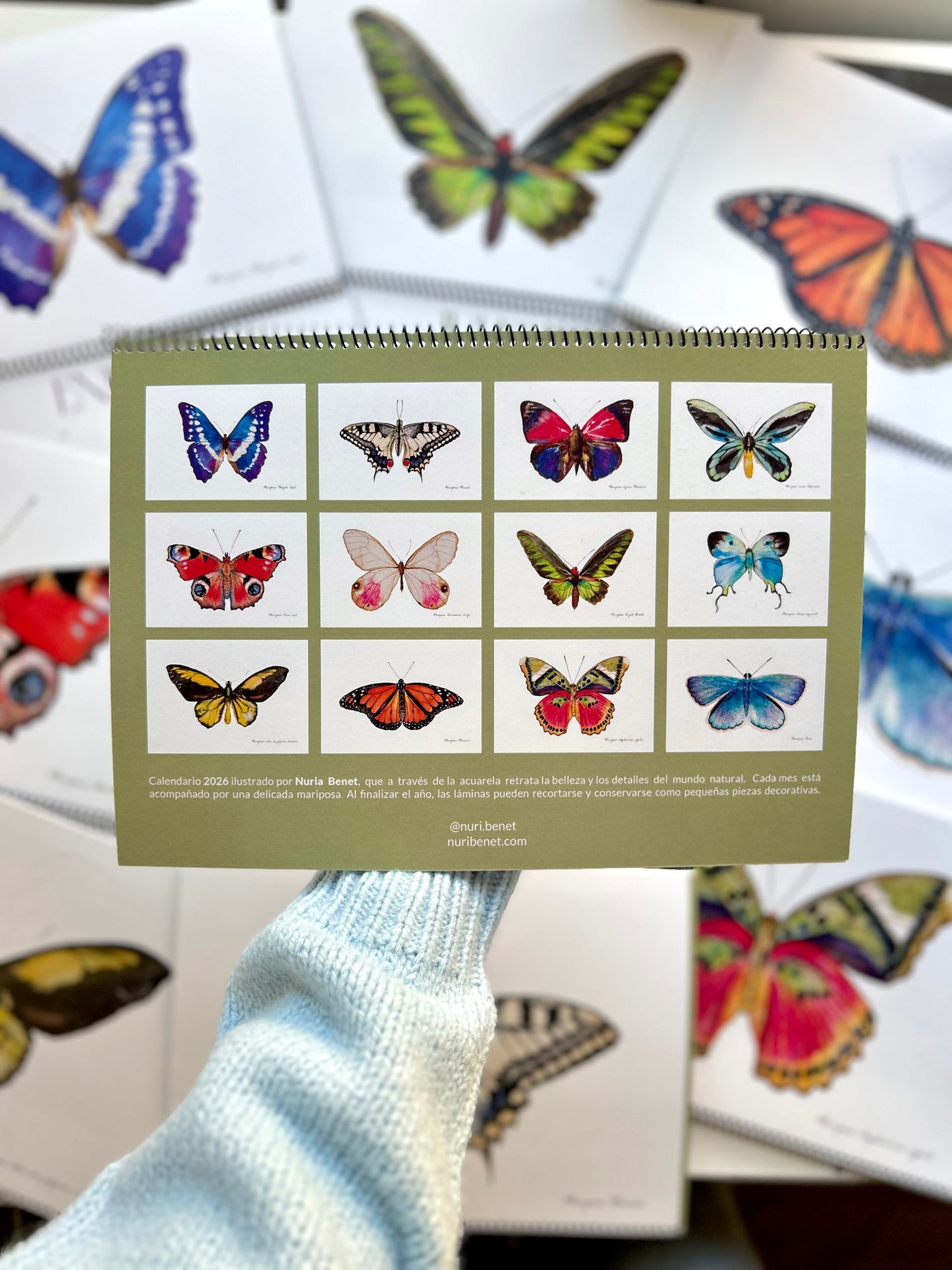 Calendario Mariposas 2026