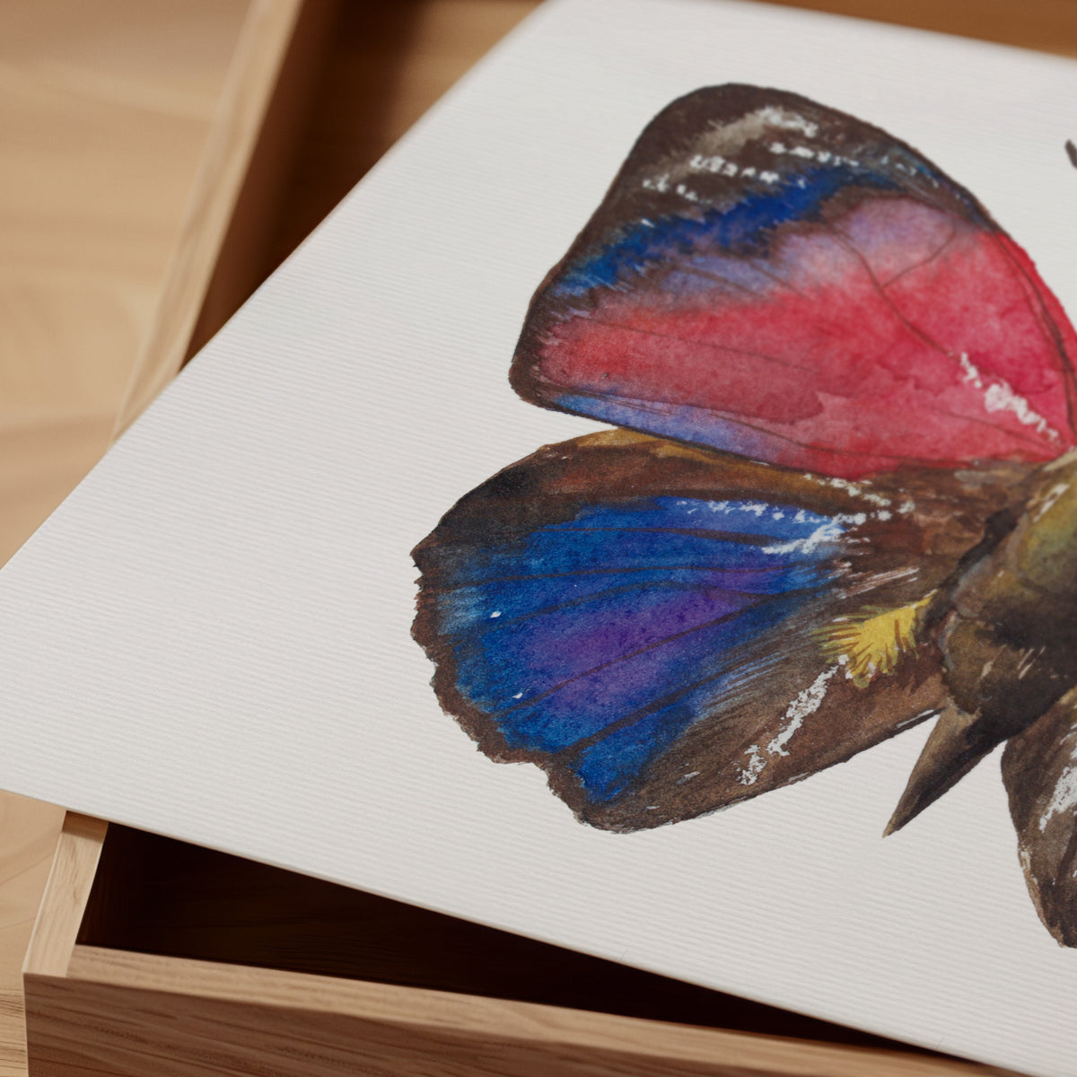 Print Mariposa Agrias Claudina Acuarela