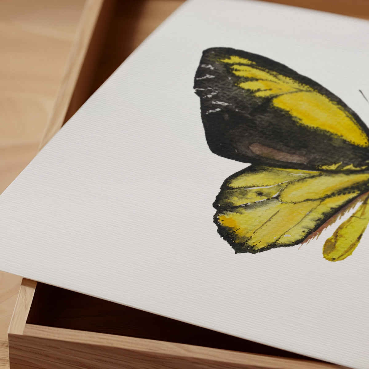 Print Mariposa Ala de Pájaro Dorada Acuarela