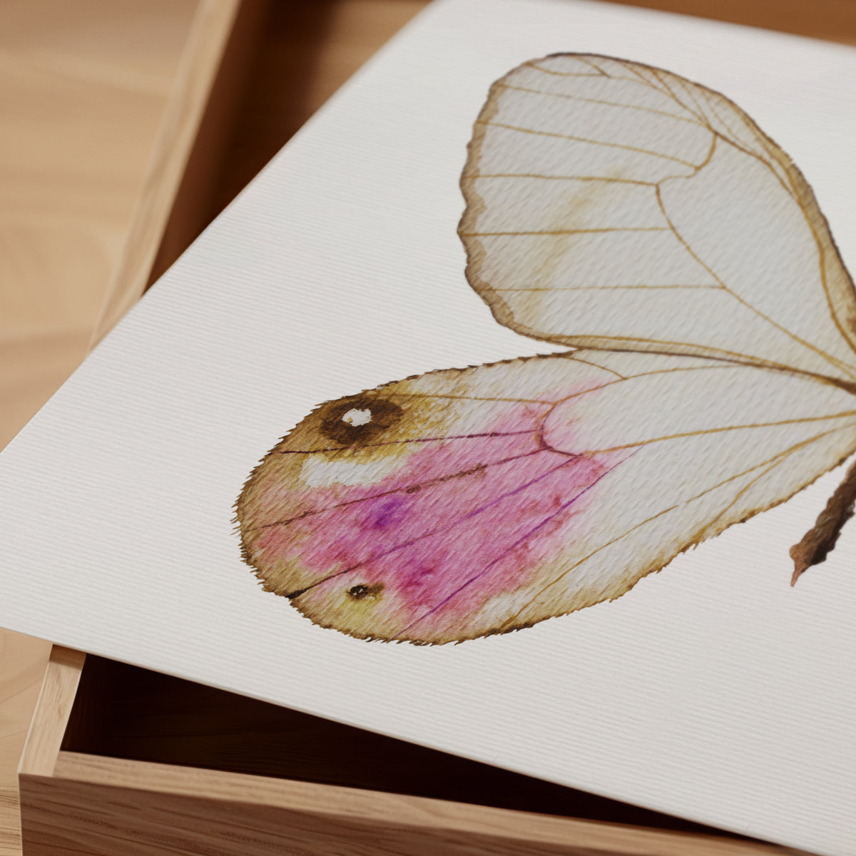 Print Mariposa Andromeda Satyr Acuarela