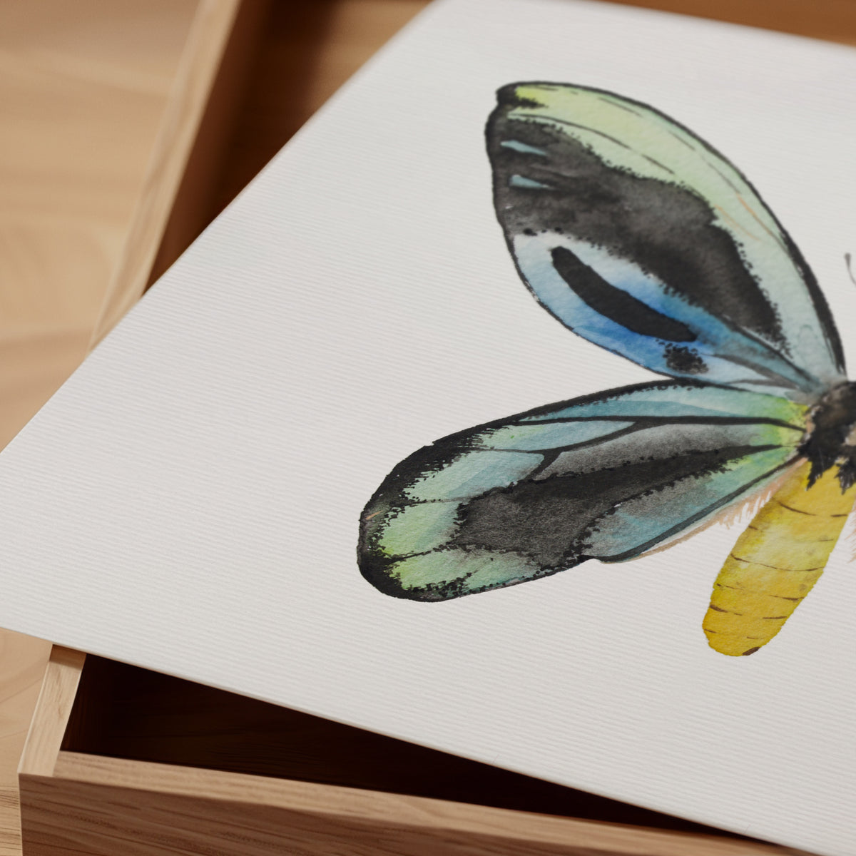 Print Mariposa Reina Alexandra Acuarela