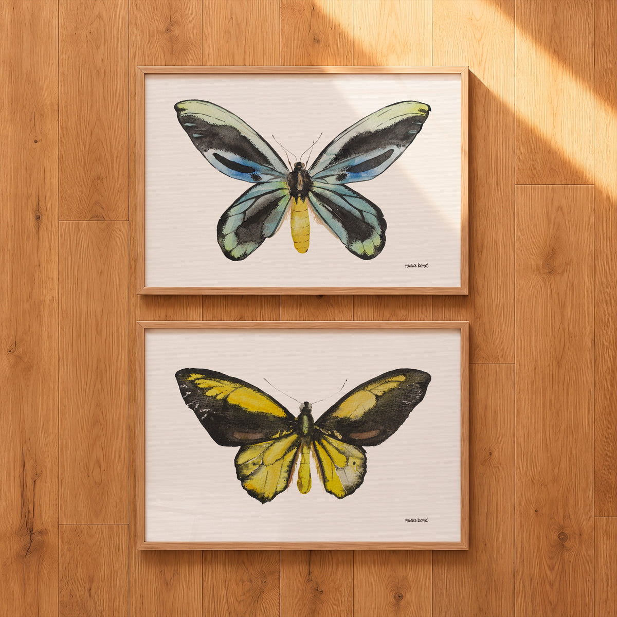 Print Mariposa Ala de Pájaro Dorada Acuarela