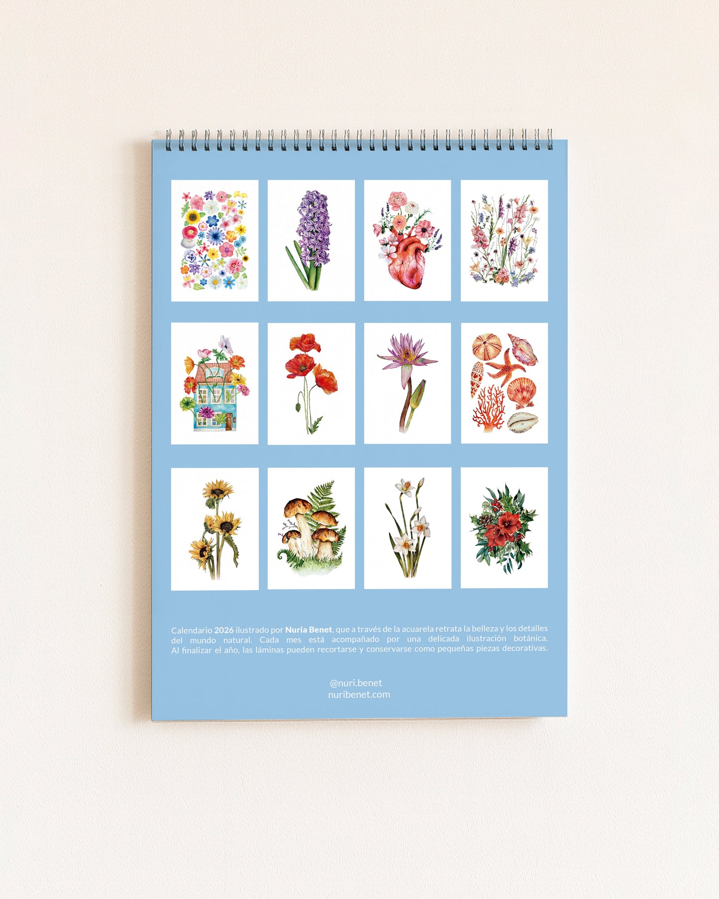 Calendario Ilustrado 2026