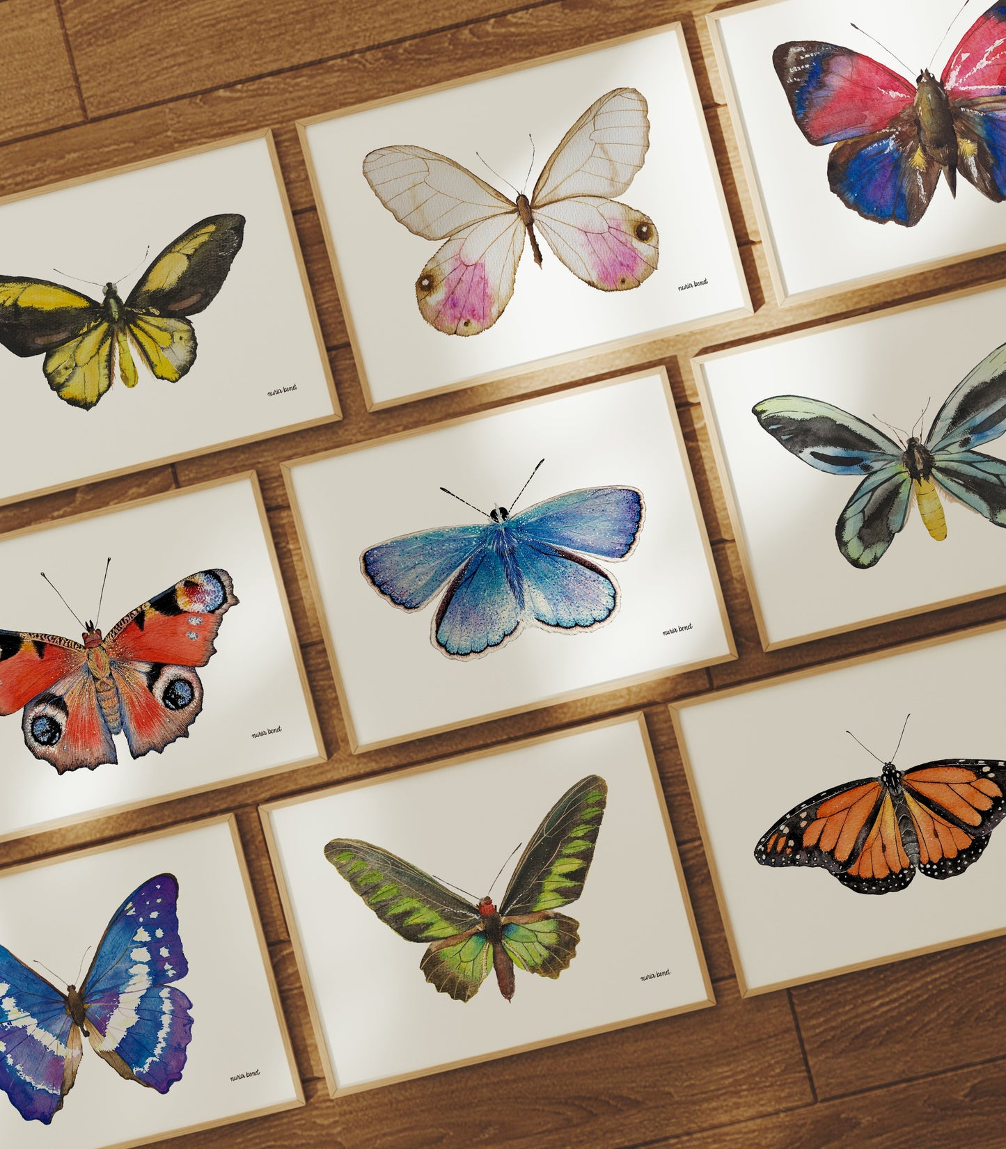 Print Mariposa Andromeda Satyr Acuarela