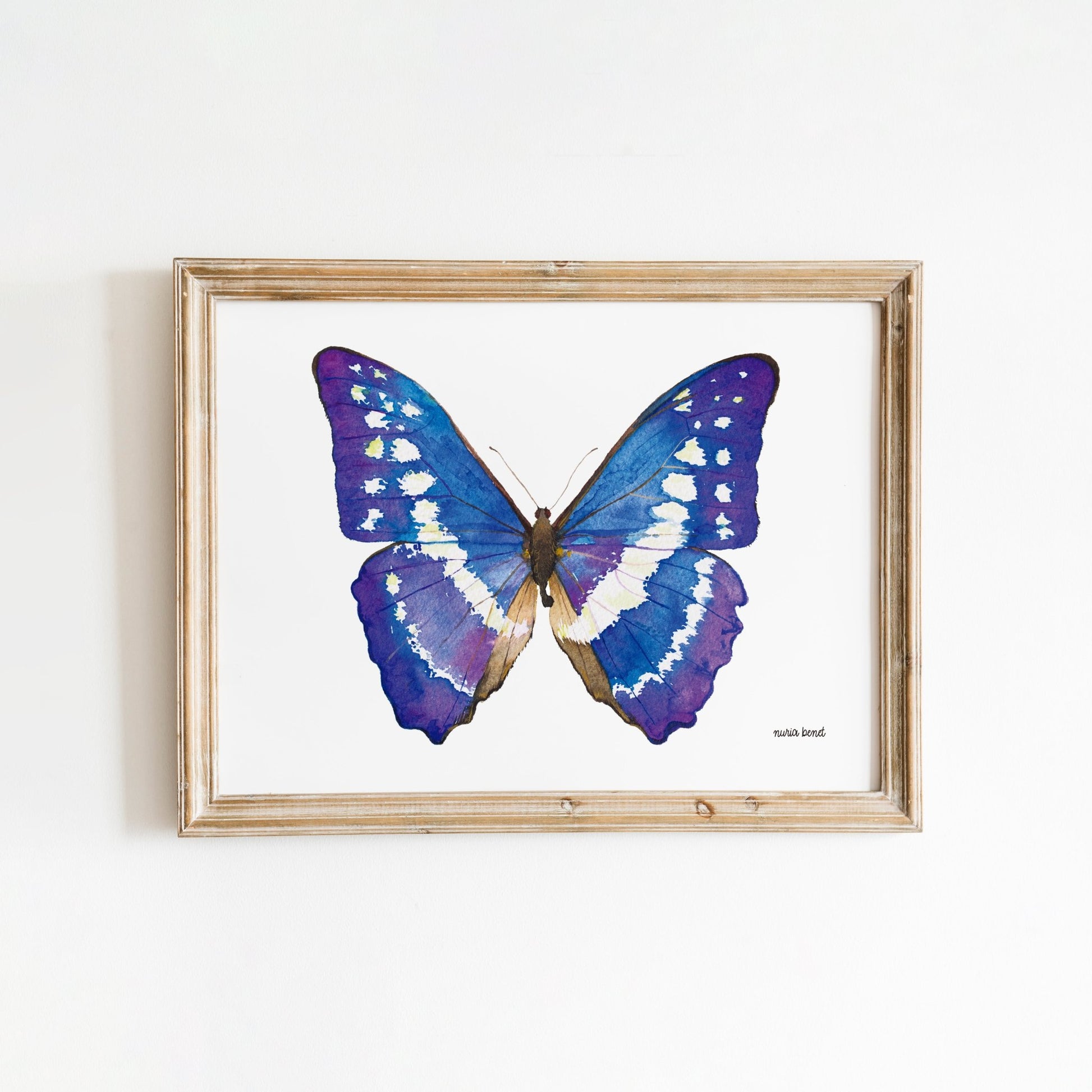 Print Mariposa Morpho Azul Acuarela - Nuria Benet