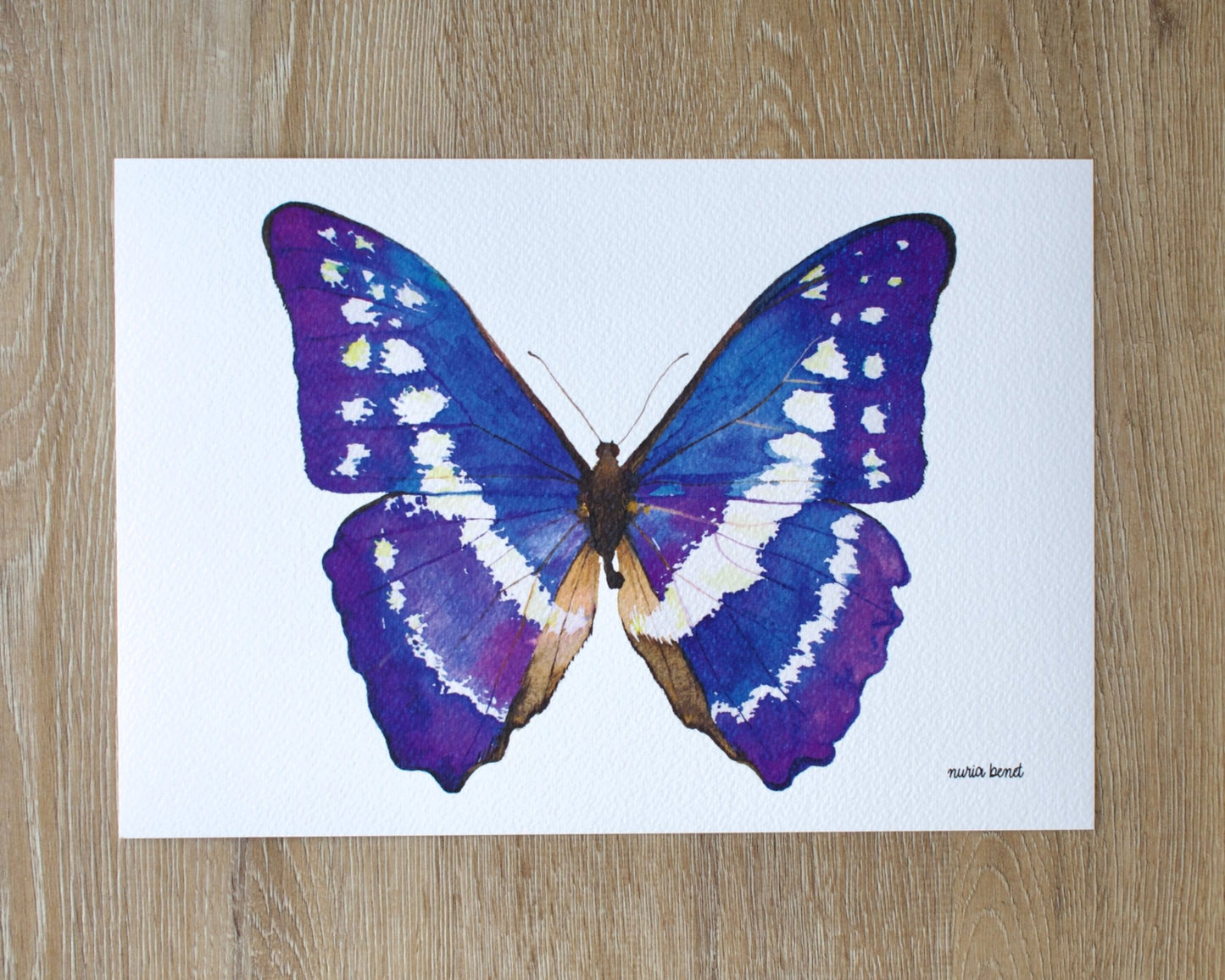 Print Mariposa Morpho Azul Acuarela - Nuria Benet